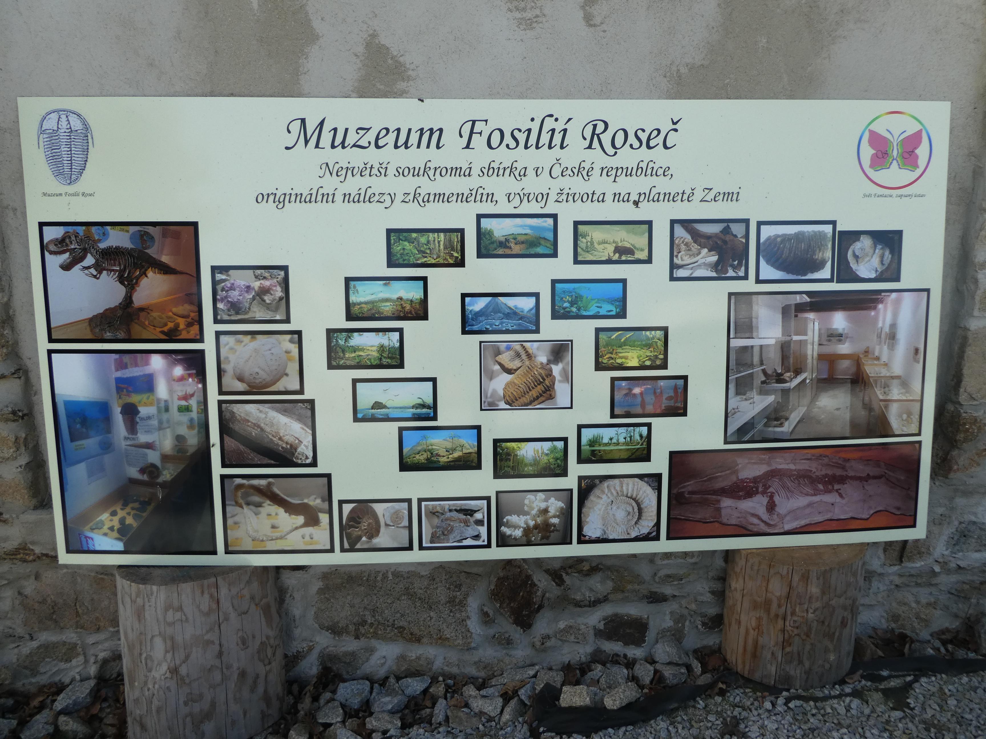 Muzeum fosilií foto 2
