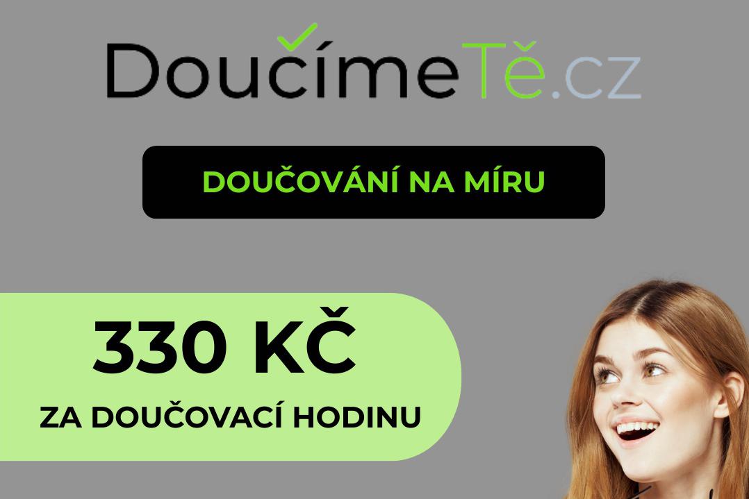 Individuální doučování