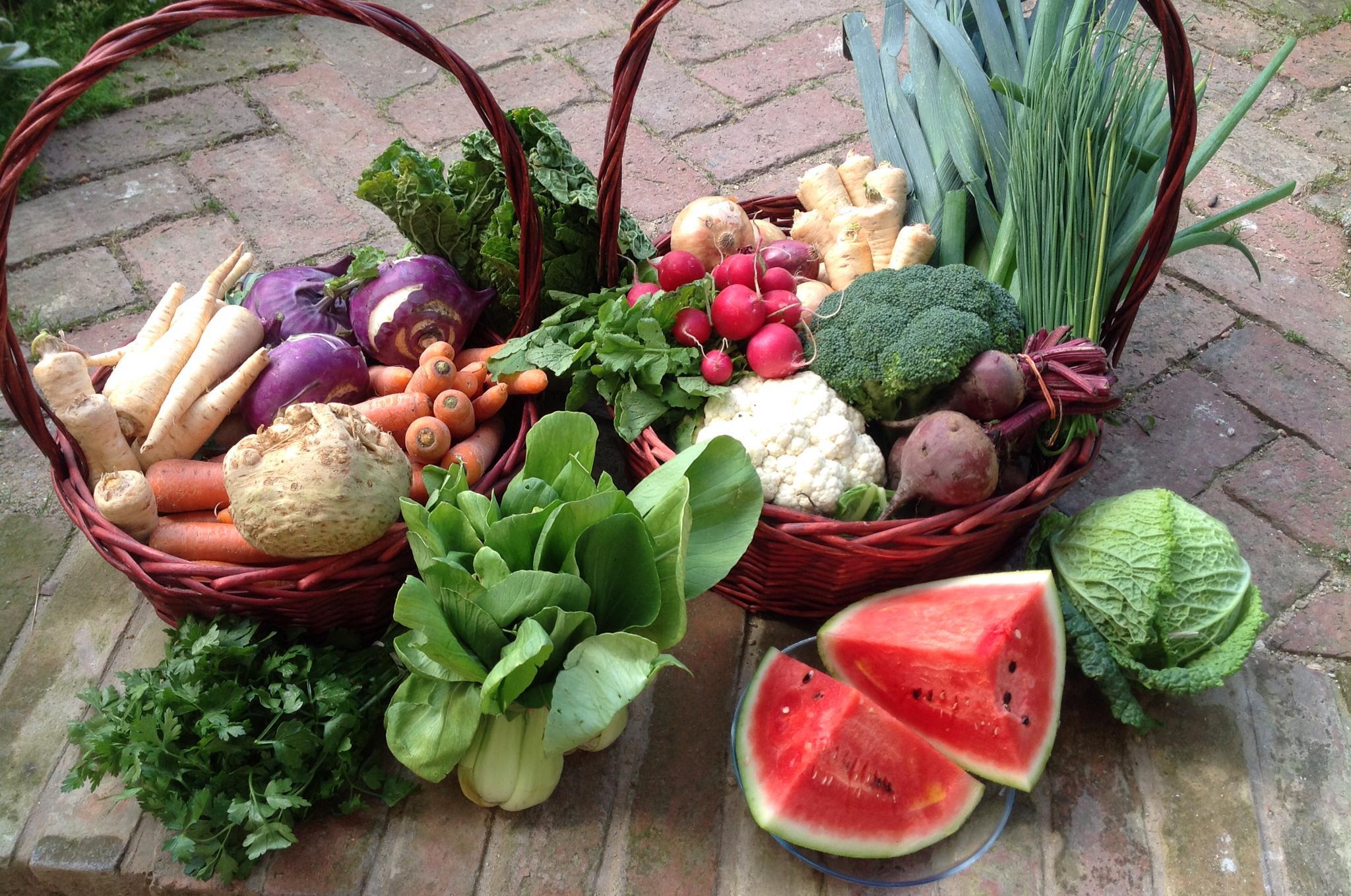 Zuzana Terešová - BeMacroBio