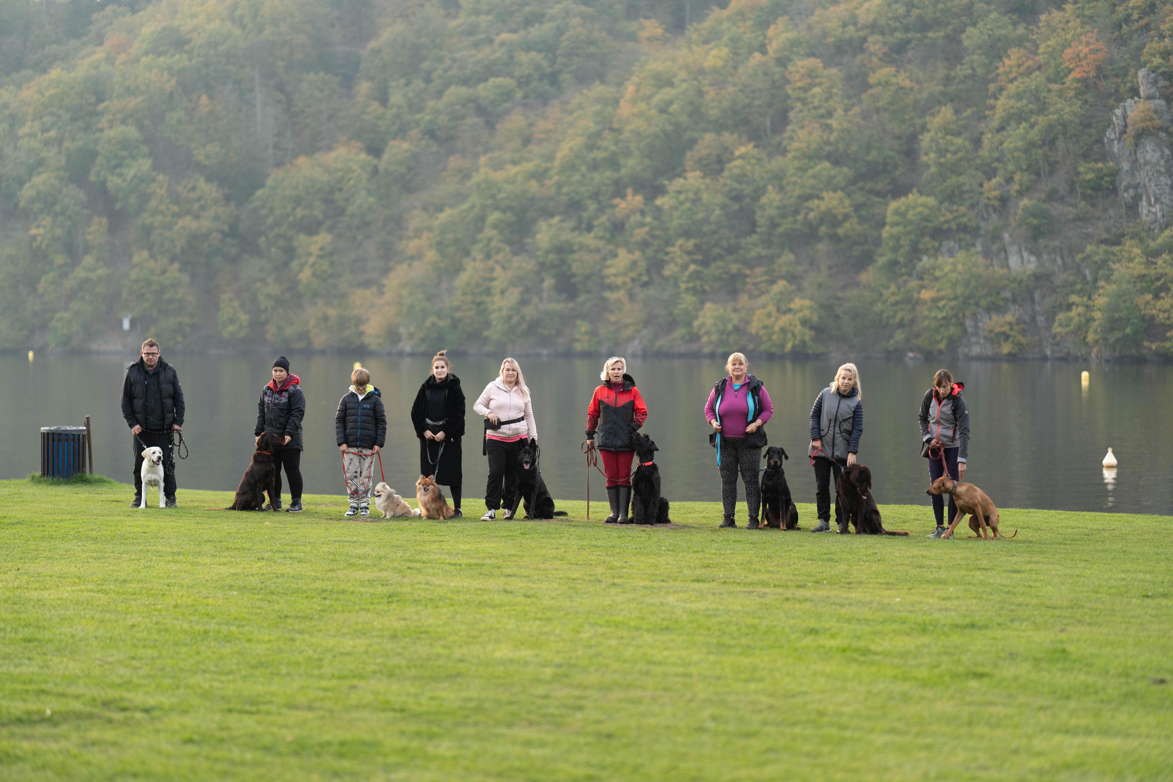 Výcvik psů Praha východ - Katka Guthová foto 2