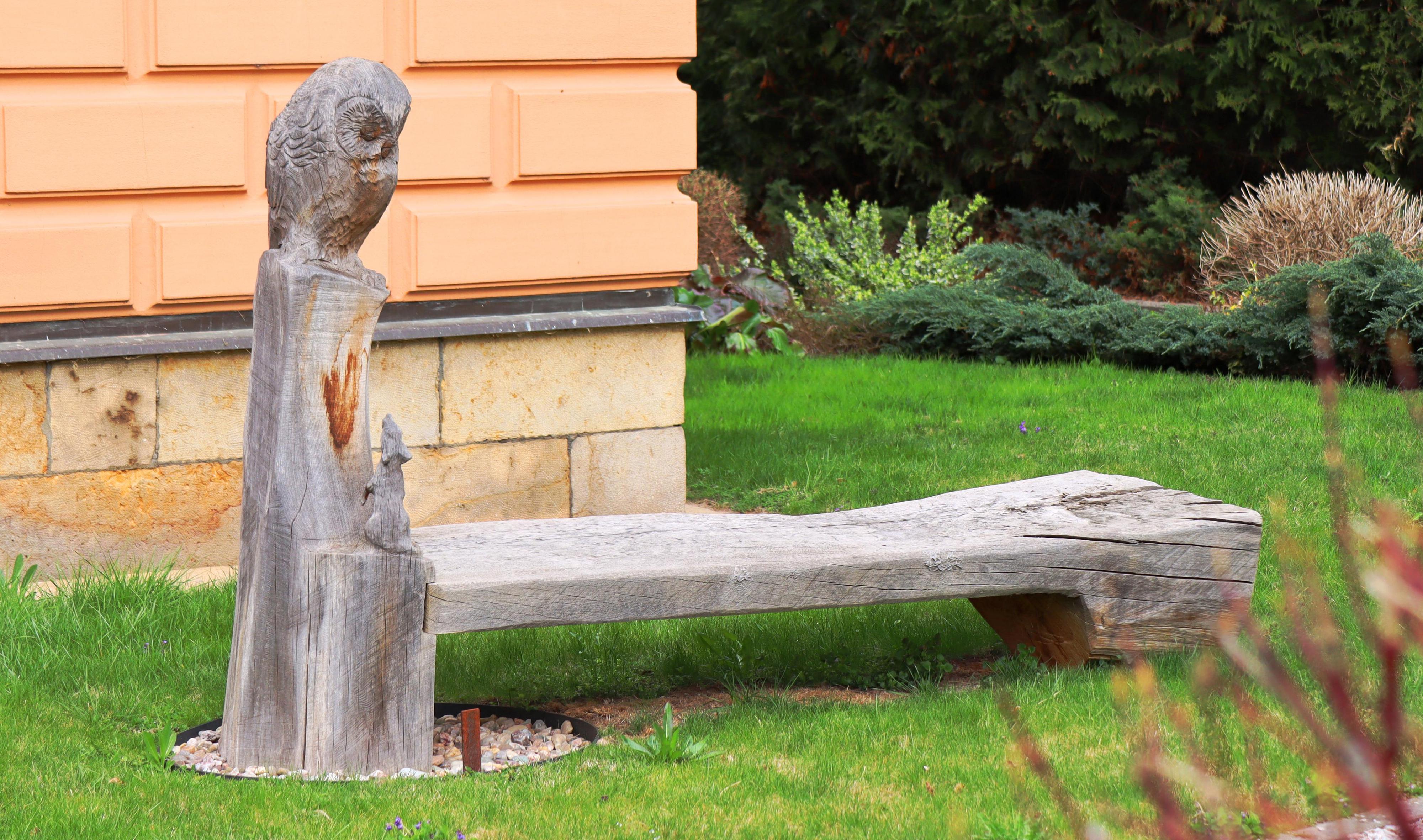 Lesní správa Dvůr Králové - Lesy České republiky foto 5