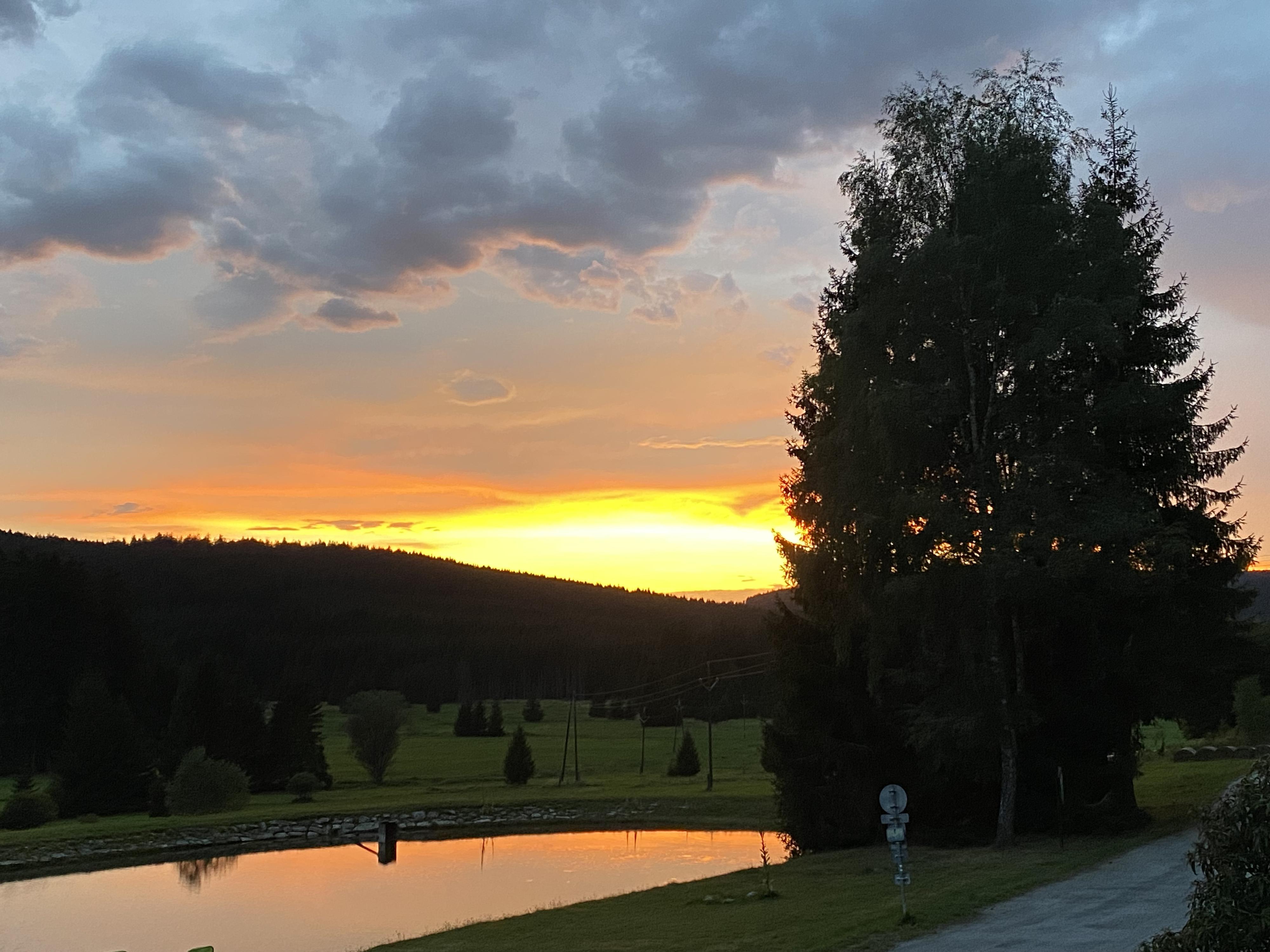 Penzion Lesovna Žofín foto 6