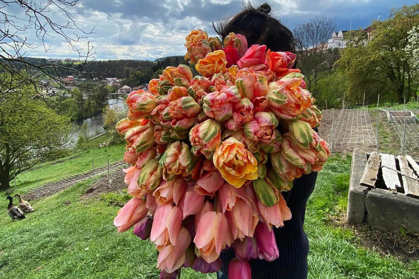 Květinová farma Svazenka