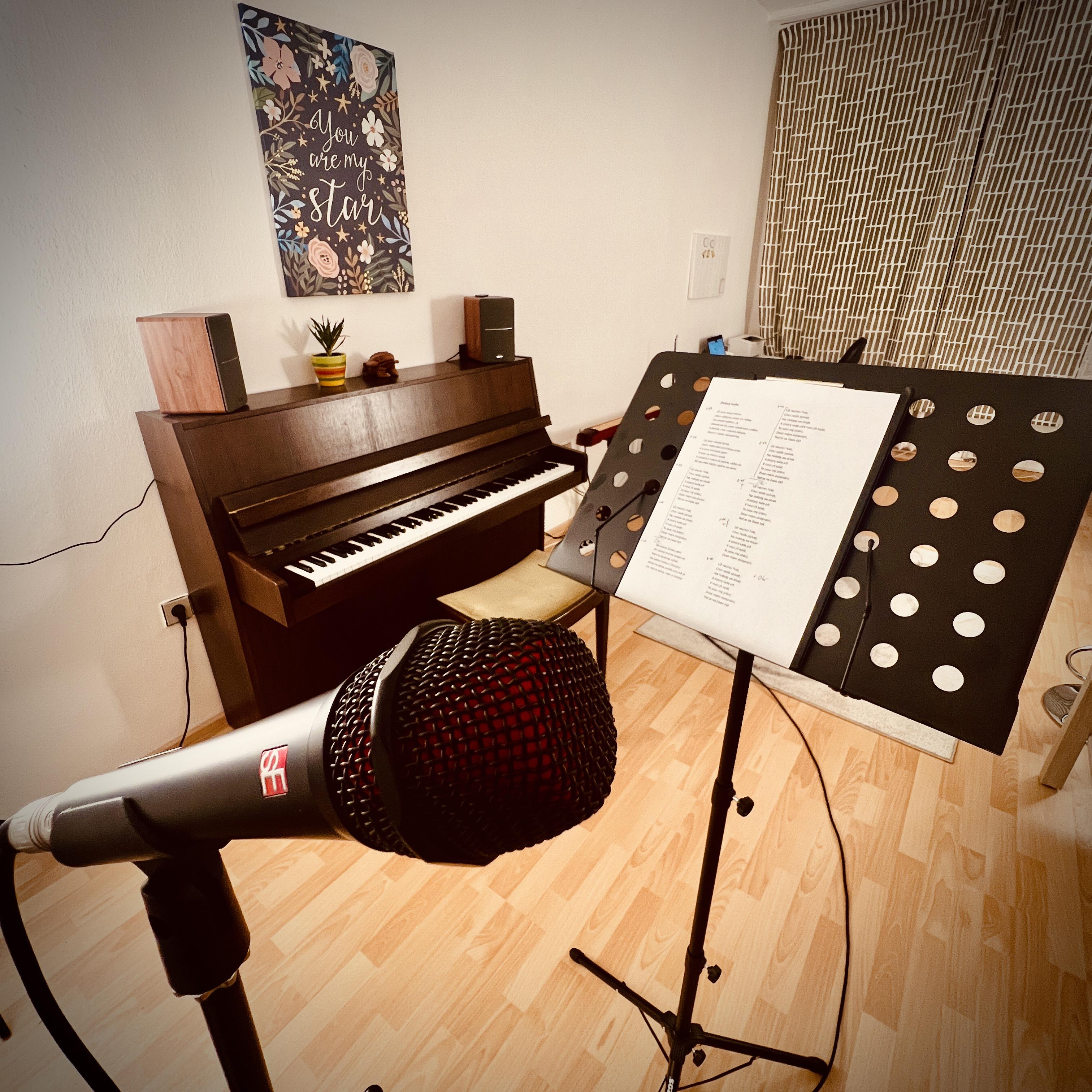 Individuální lekce zpěvu