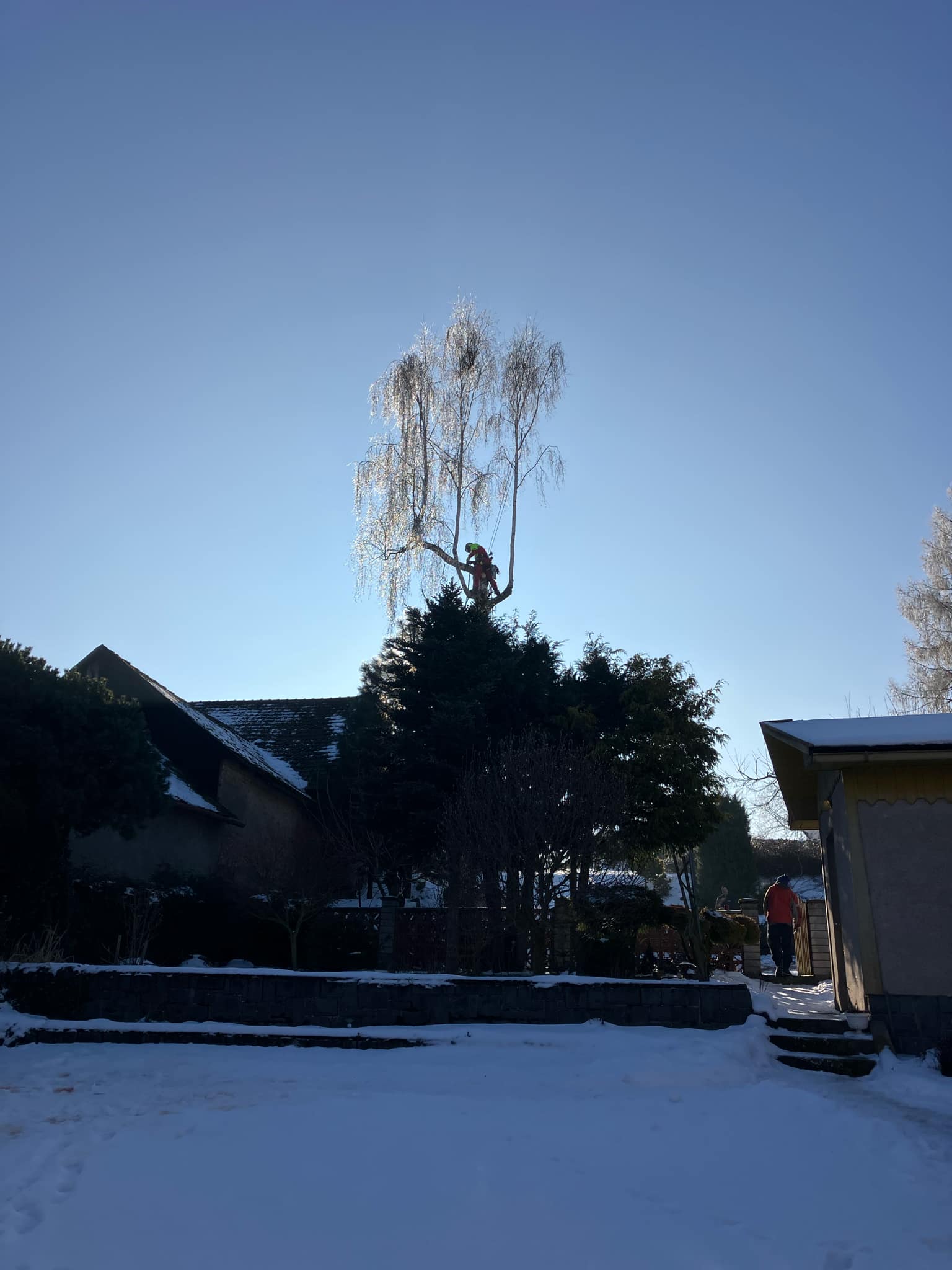 Ondřej Augustin - arboristika a výškové práce foto 3