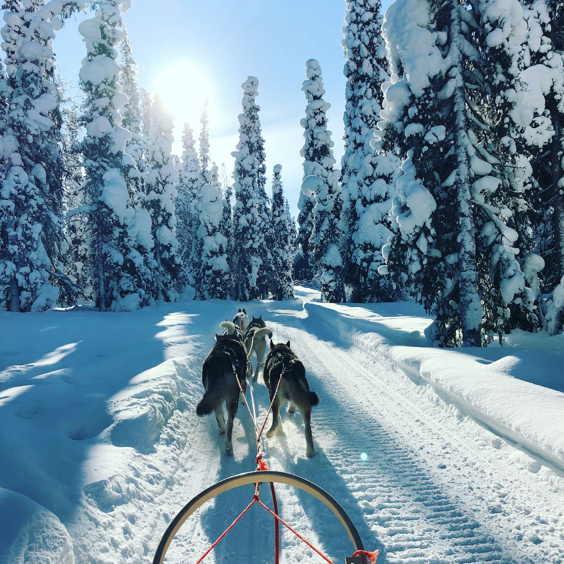 Roam Lapland foto 3