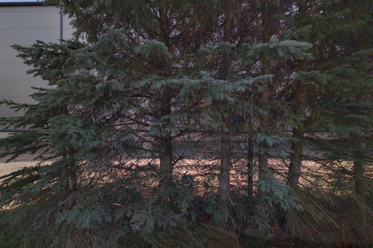 DEXIS Czech Republic, s.r.o.