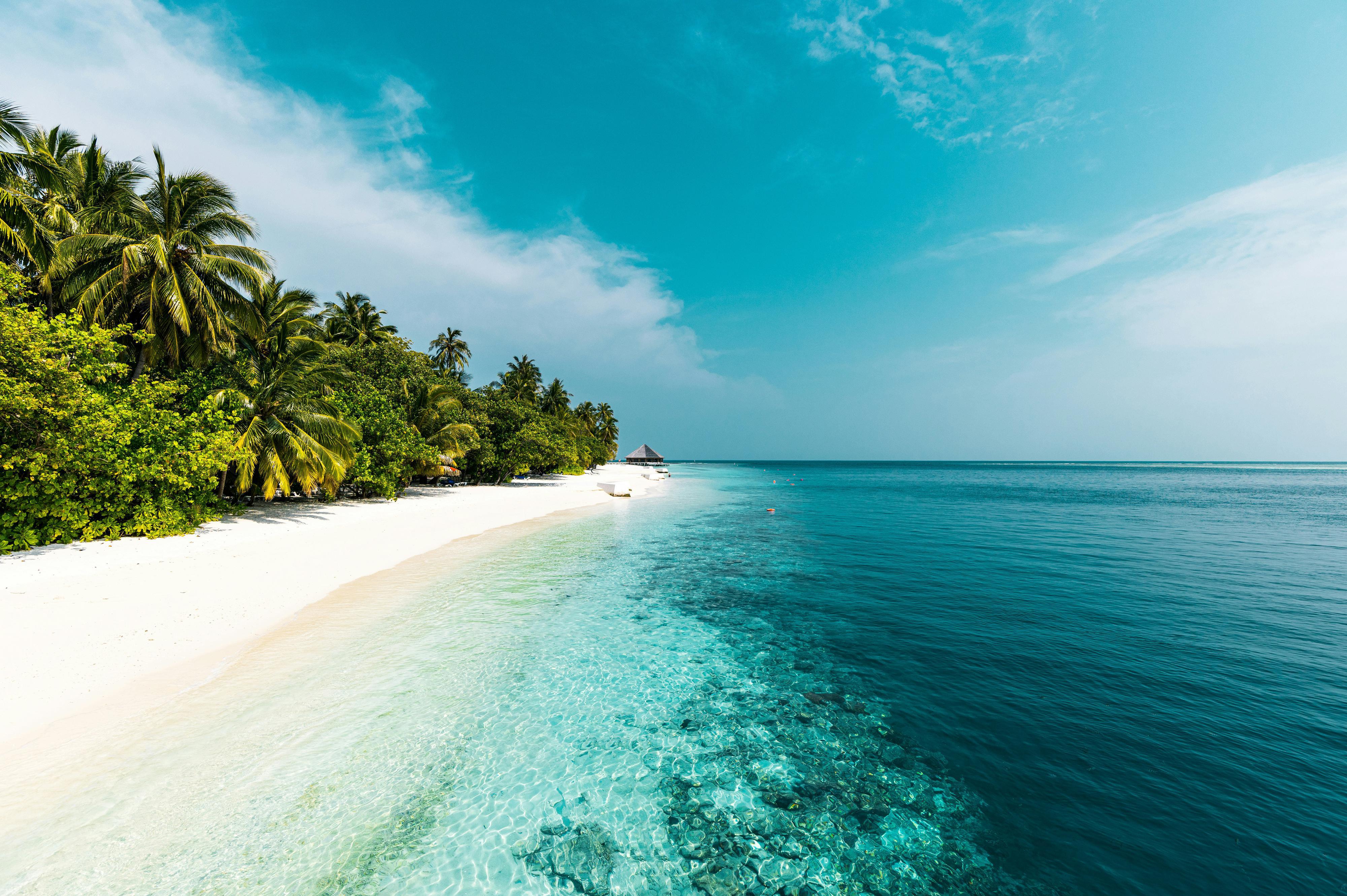 1. Cestovní agentura - František Scherbaum