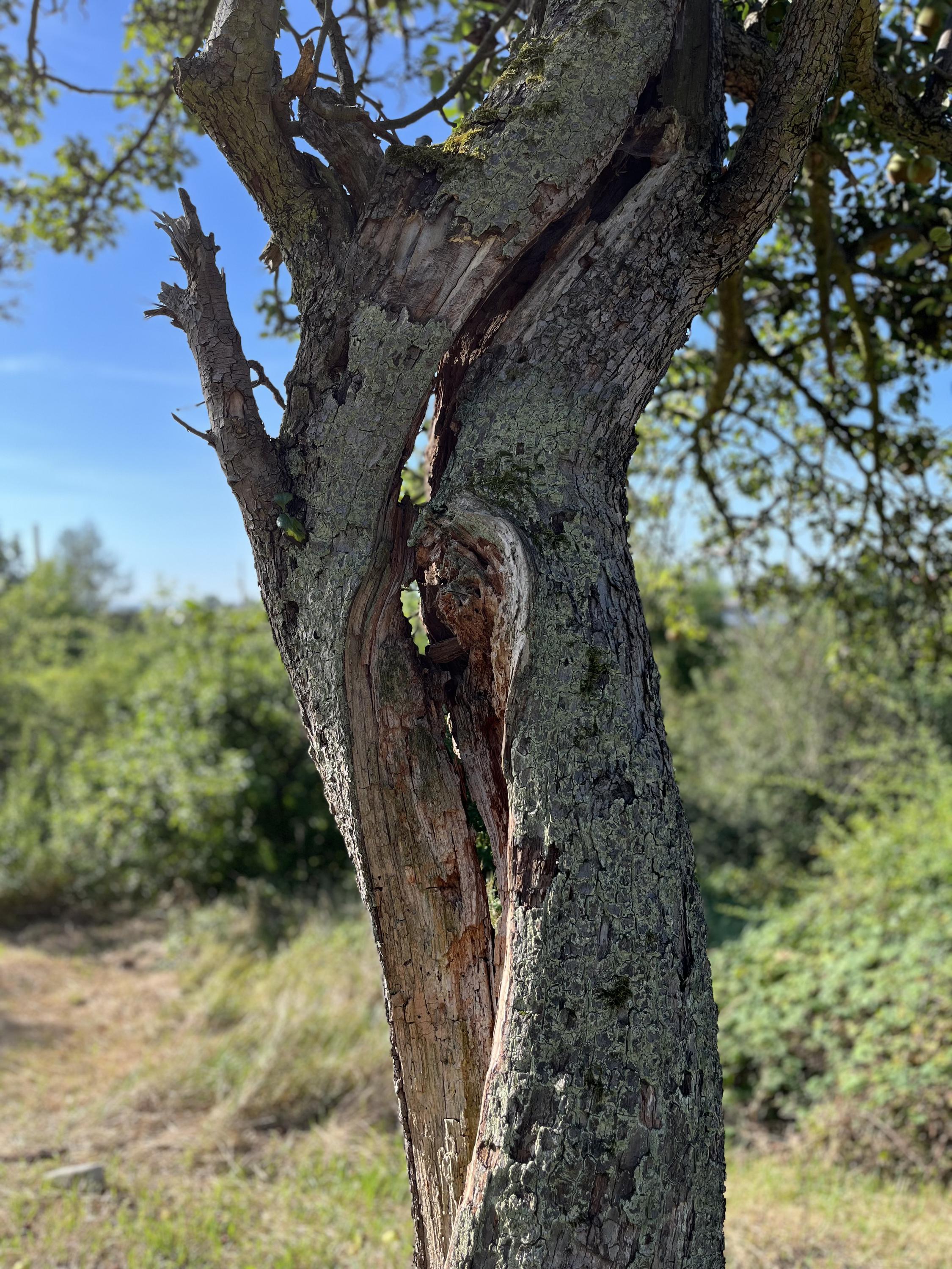 Družstvo Zahrádky Vinohrady foto 1