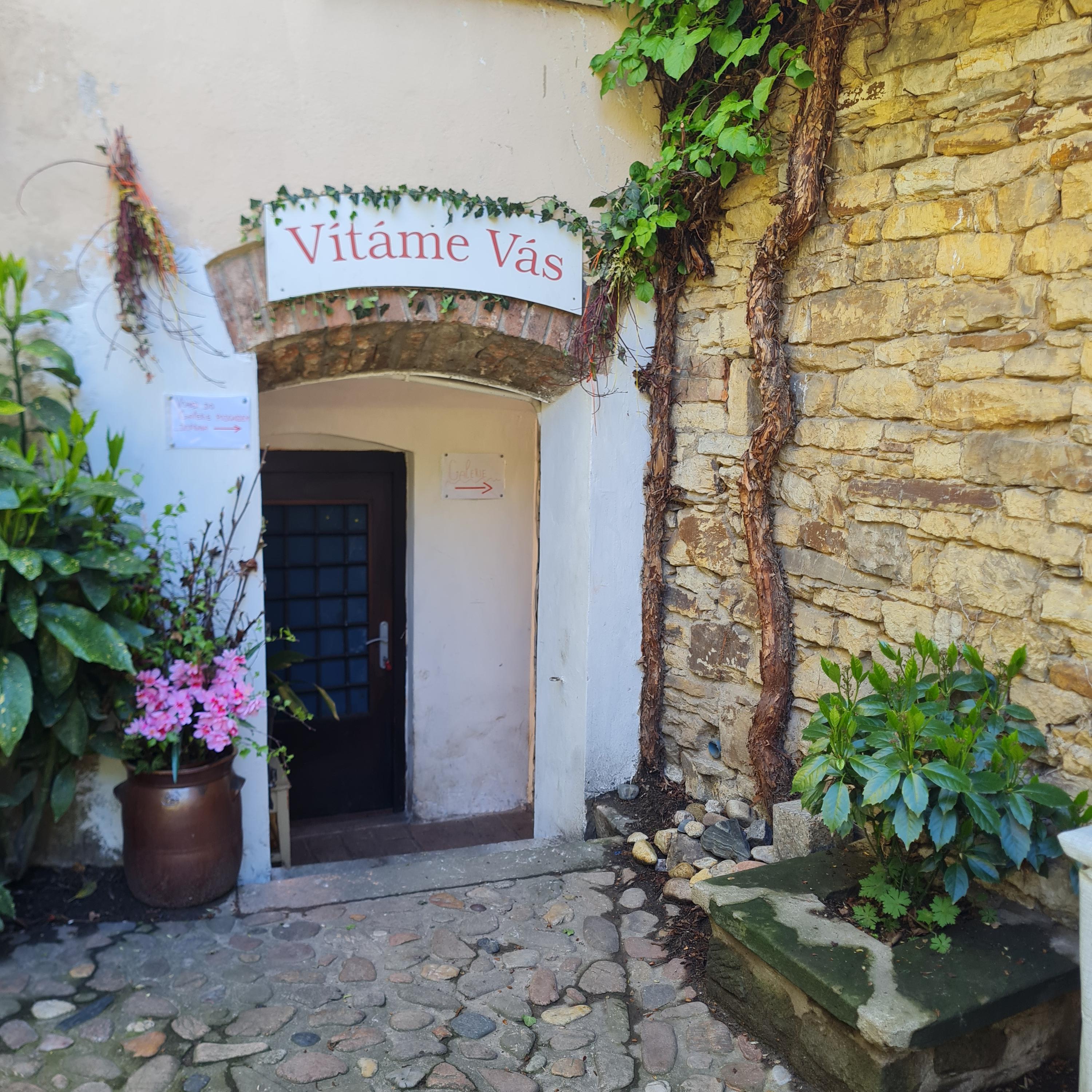 Galerie Žofín foto 4