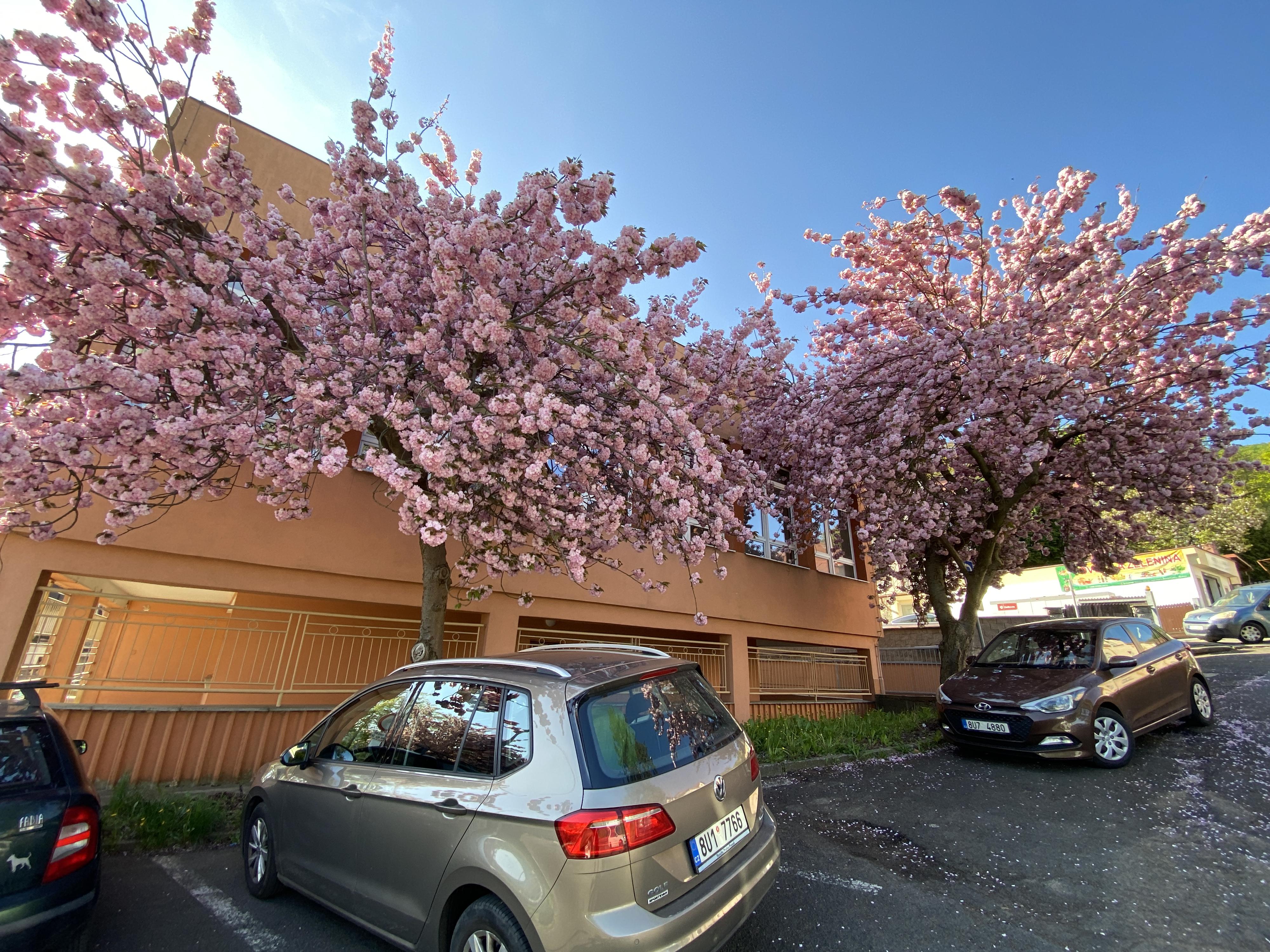 Státní zemědělská a potravinářská inspekce foto 2