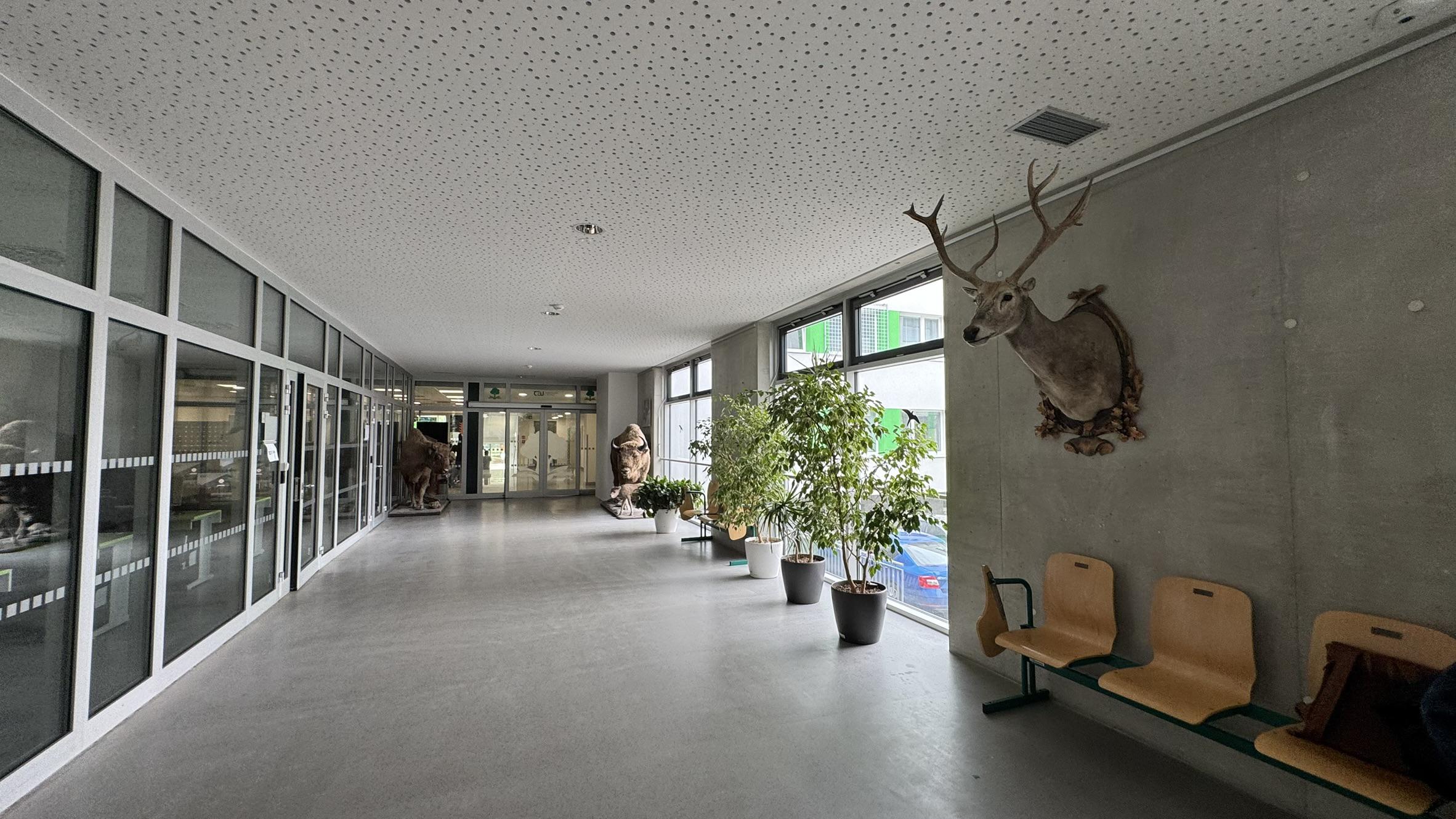 ČZU - Fakulta lesnická a dřevařská foto 6