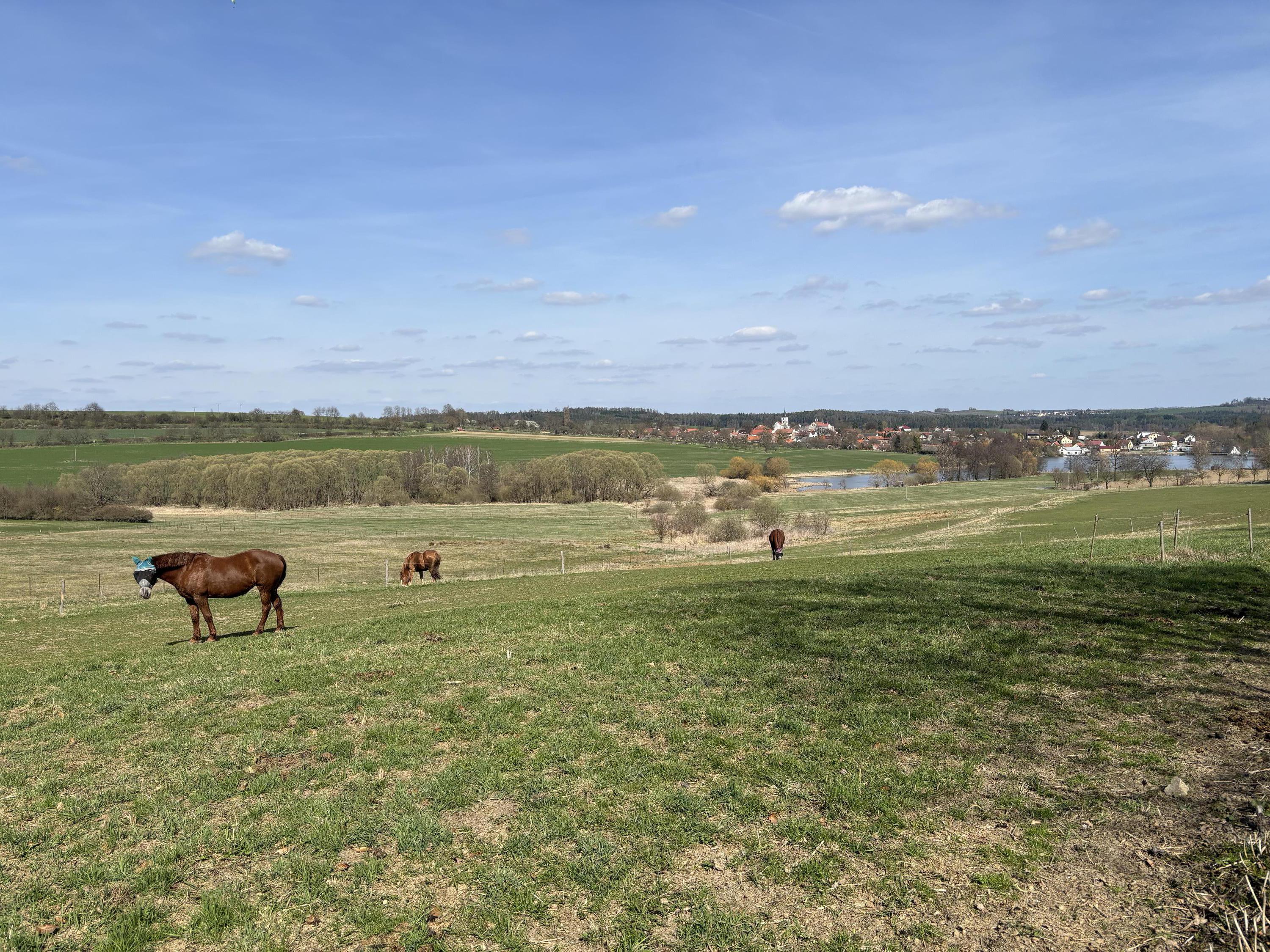 Jezdecký klub EQUITACION foto 4