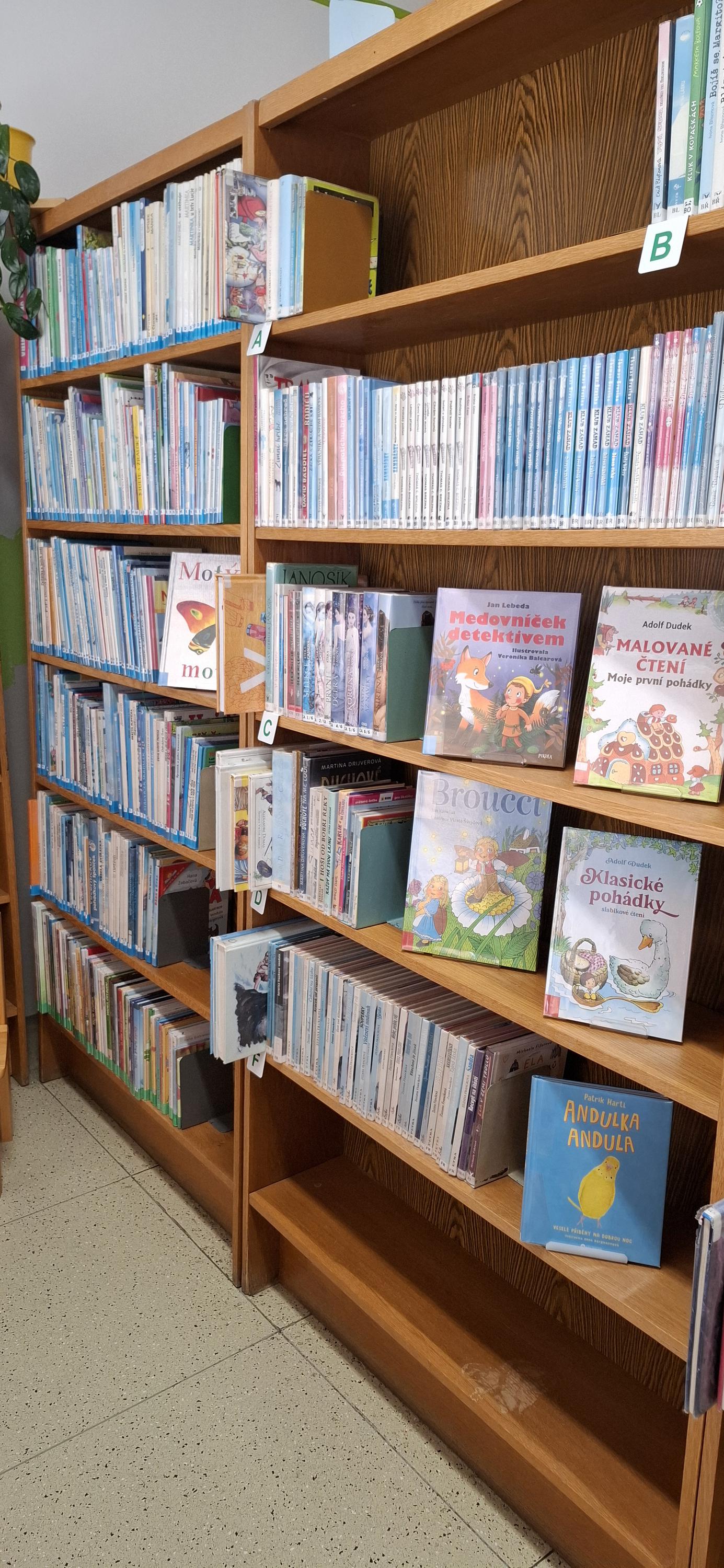 Místní knihovna Tasovice foto 4