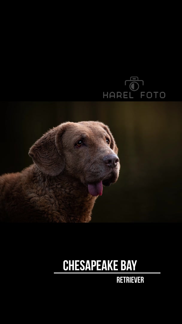 Karel Foto foto 2 (náhled videa)