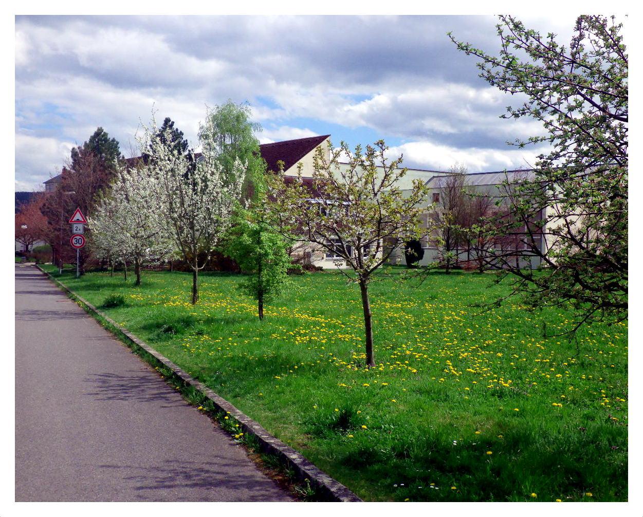 Obecní knihovna Petrovice foto 2