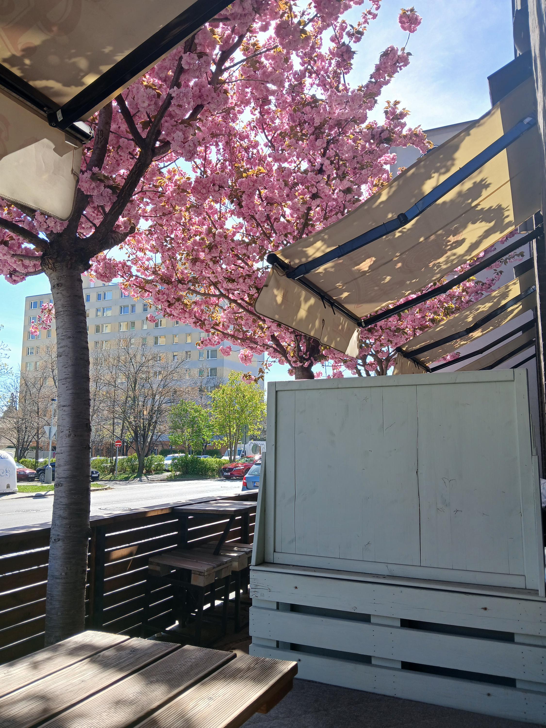 XL Restaurant Grill & Bar foto 6