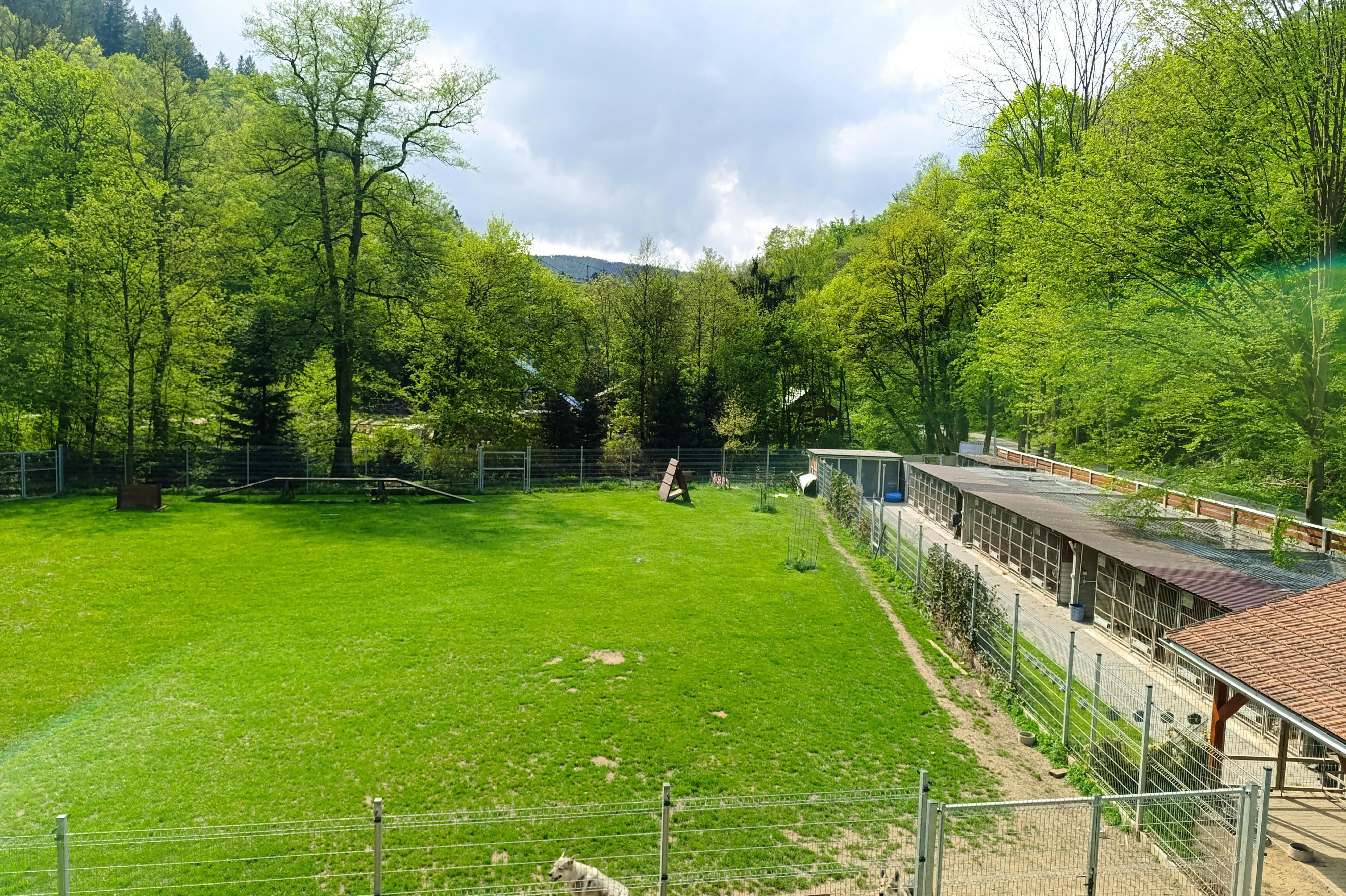 V.R.K. Adamov škola a hotel pro psy