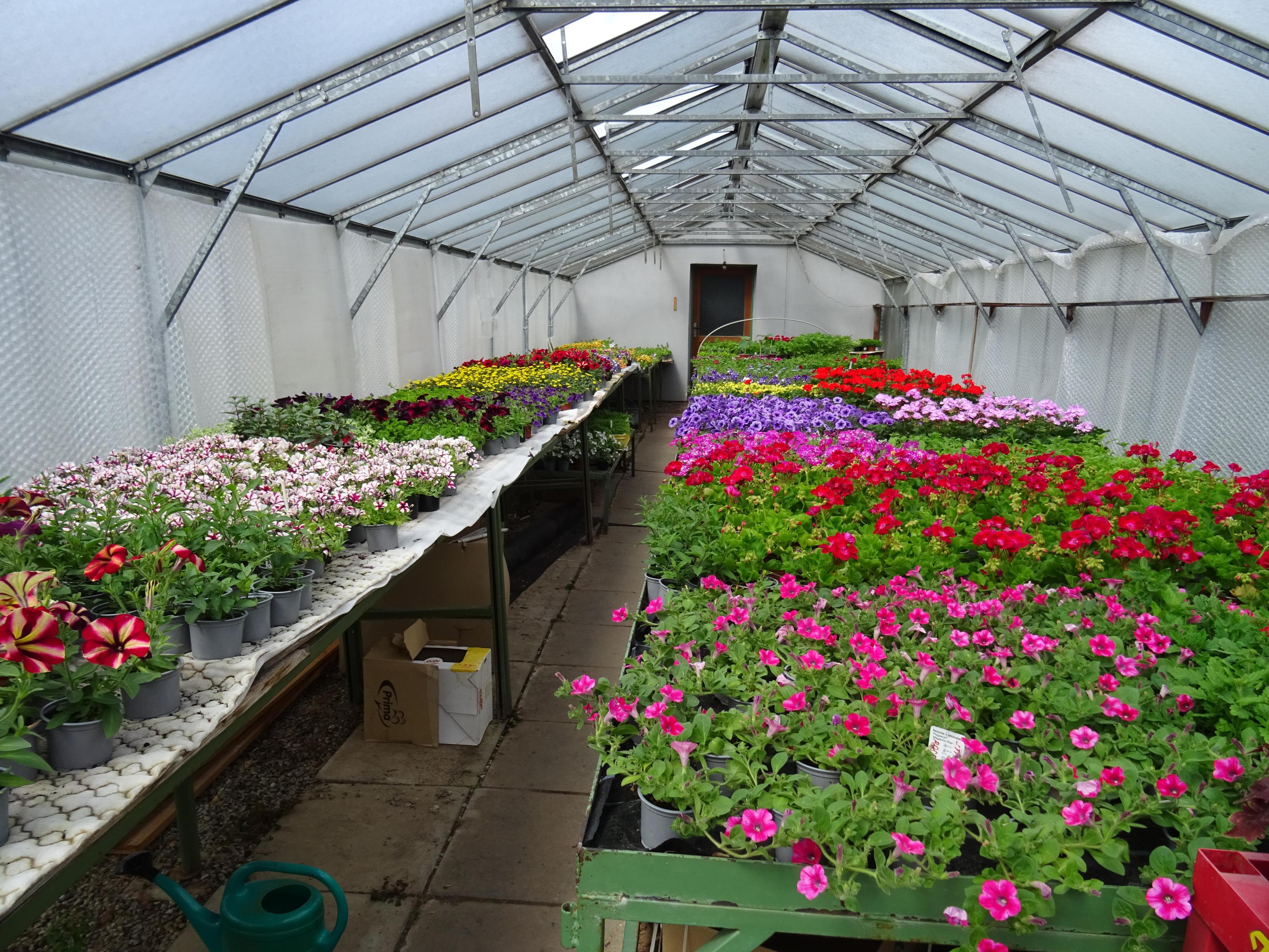 Prodej dřevin Tomáš Hartl