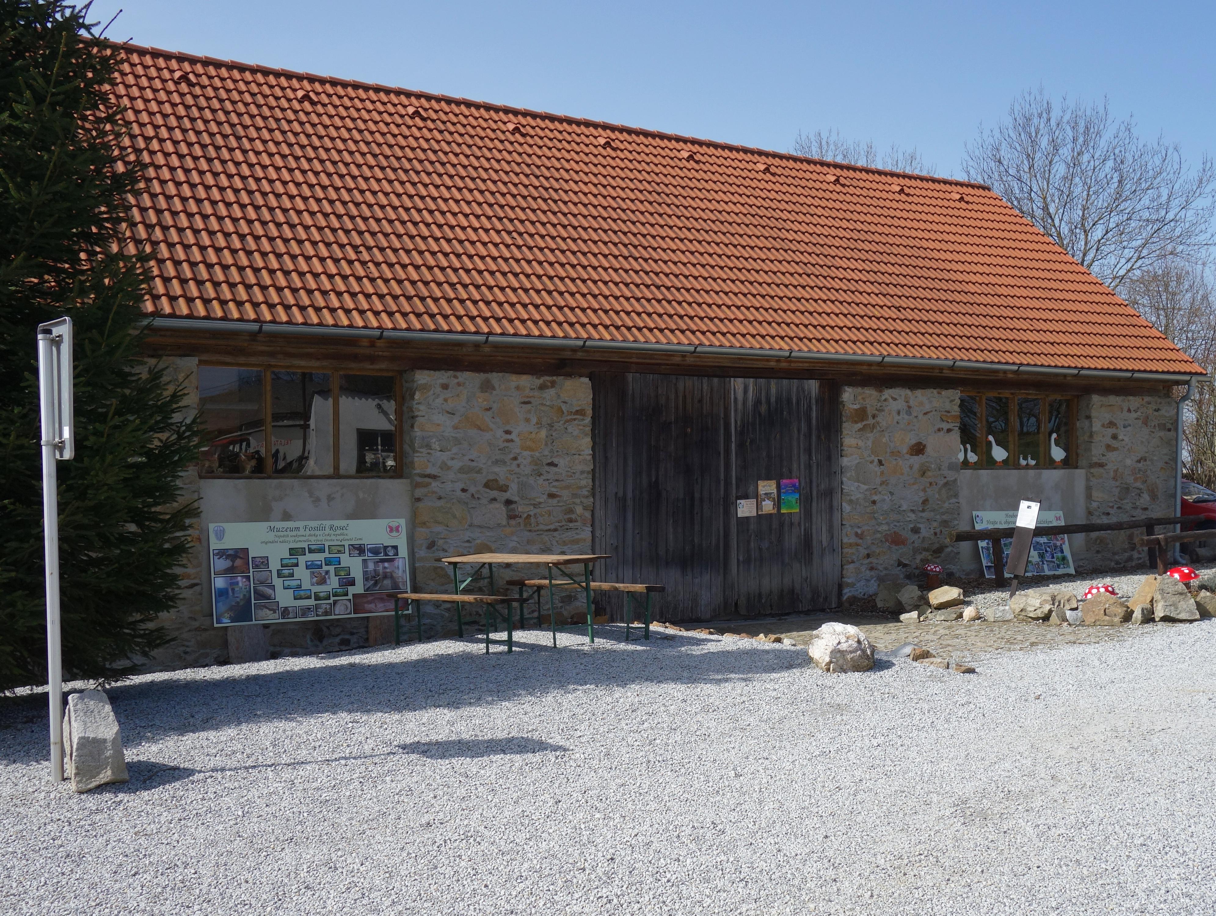 Muzeum fosilií foto 3