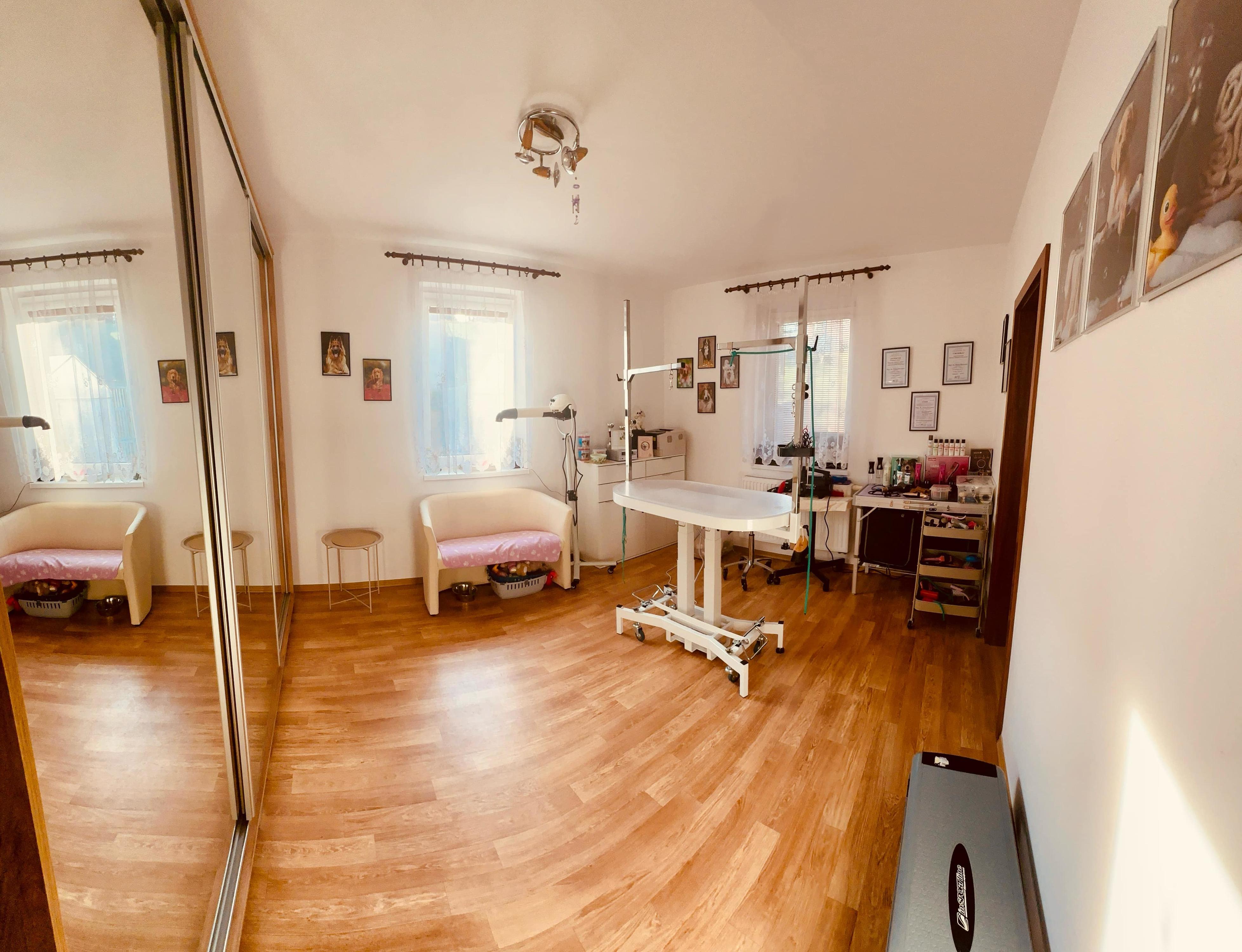 Psí salon na Svatém Kopečku