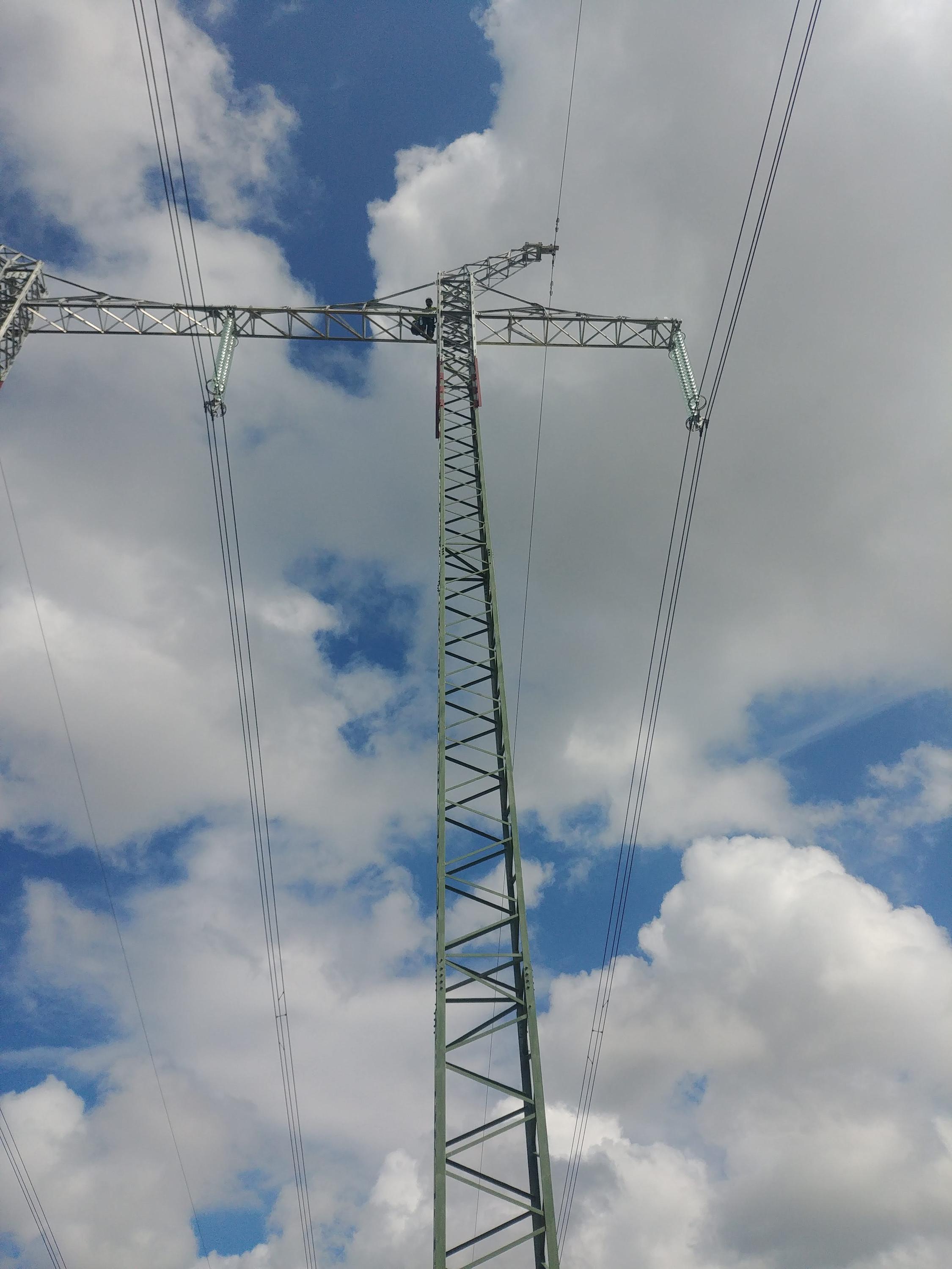 RWXX - Výškové a arboristické práce foto 2