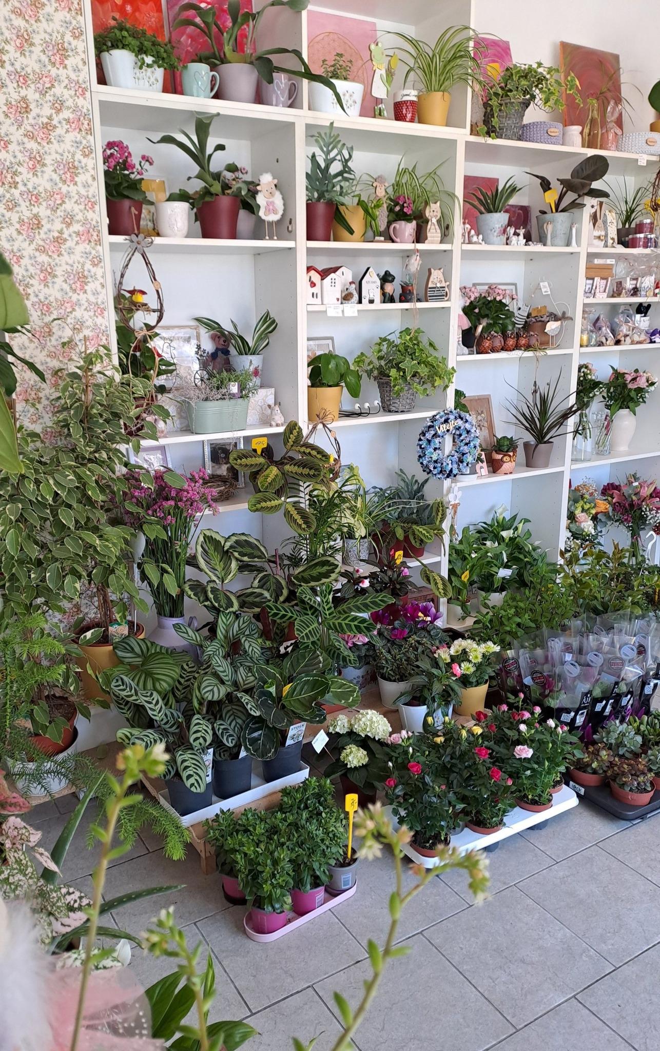 Květinářství Rozmarýna foto 3