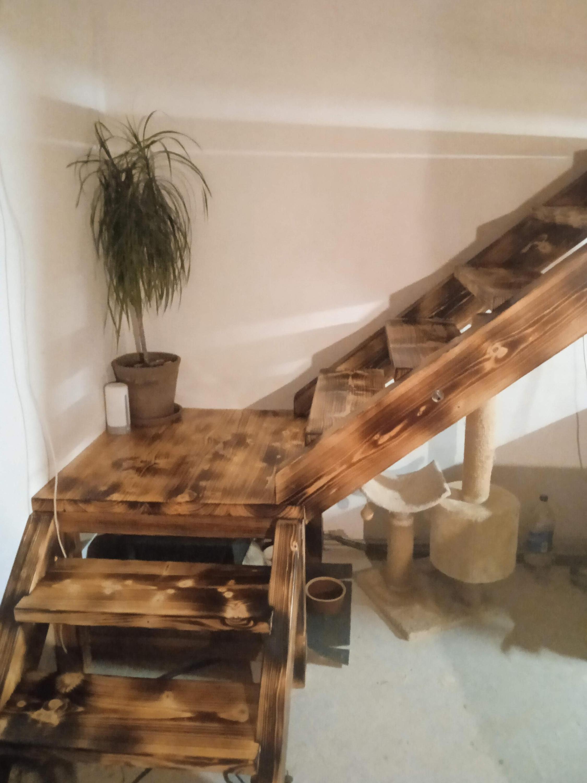 Hodinový řemeslník - AS Wood foto 3