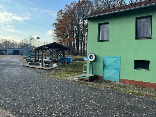 Prodej Kapru Zaben () Prodej Kapru Zaben