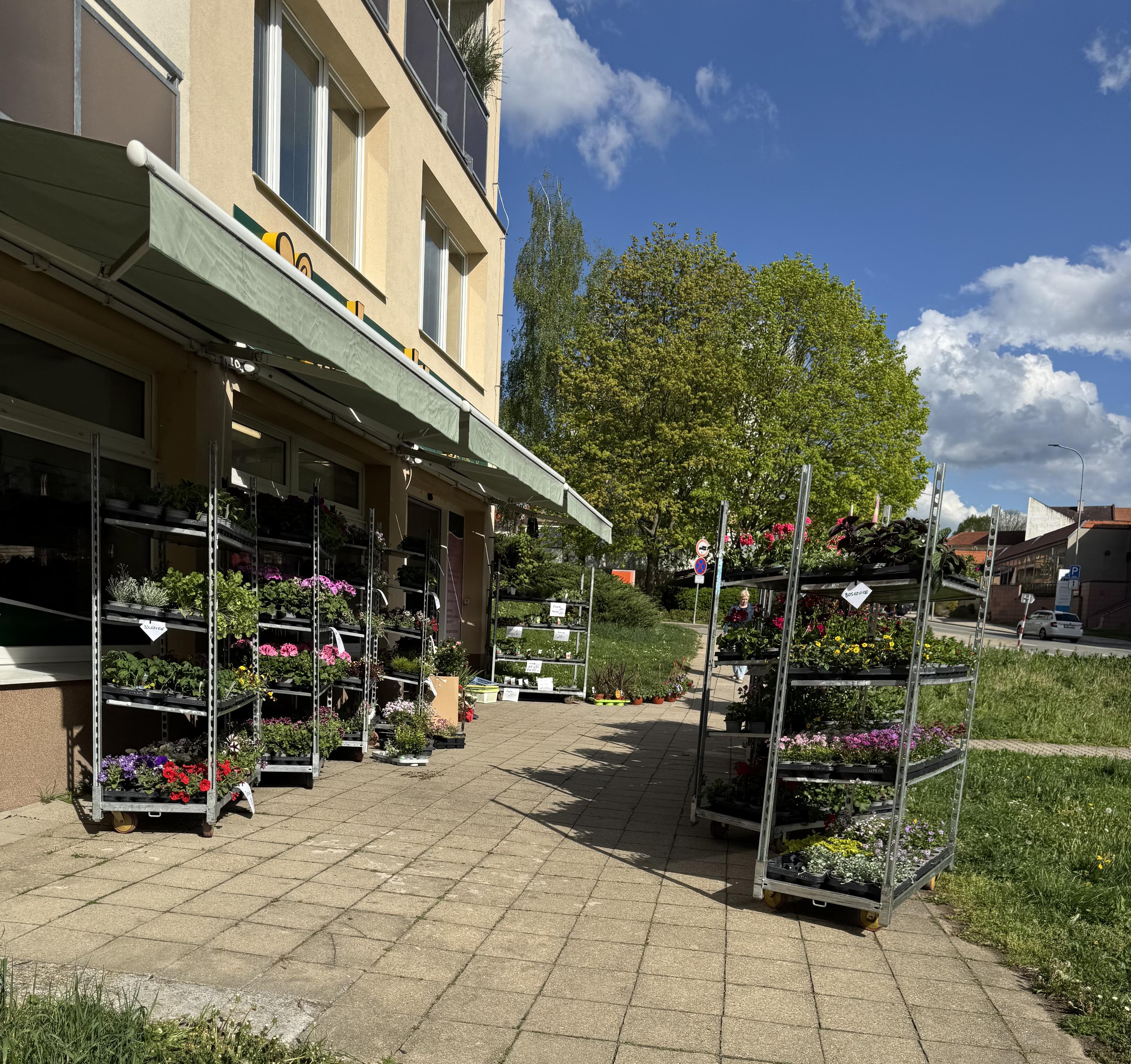 Zahradnictví Ing. Roman Koupý foto 2