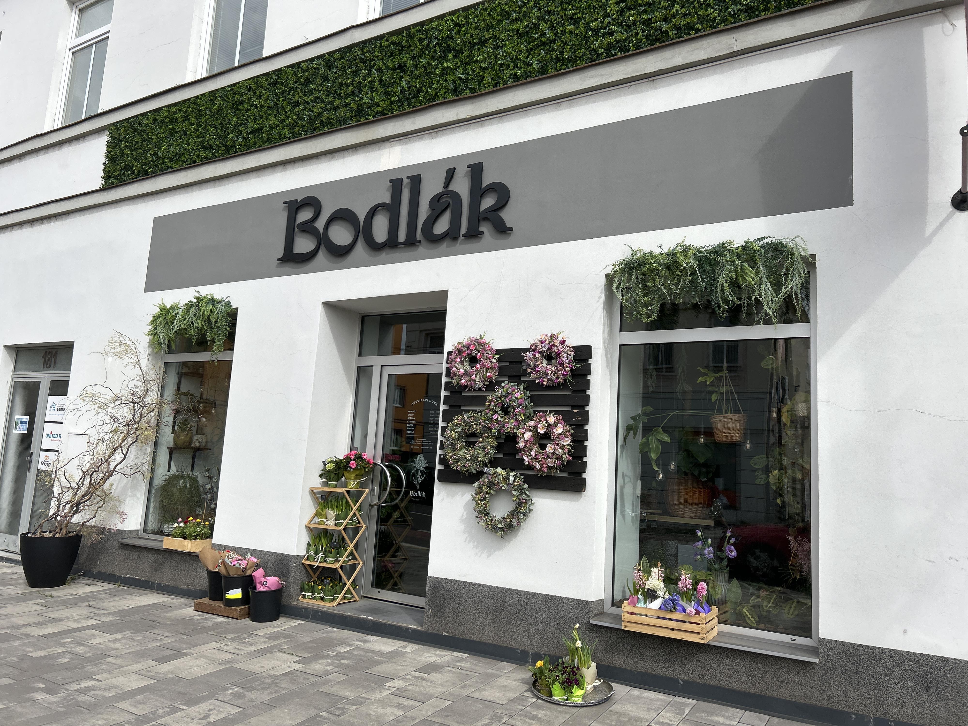 Bodlák foto 6