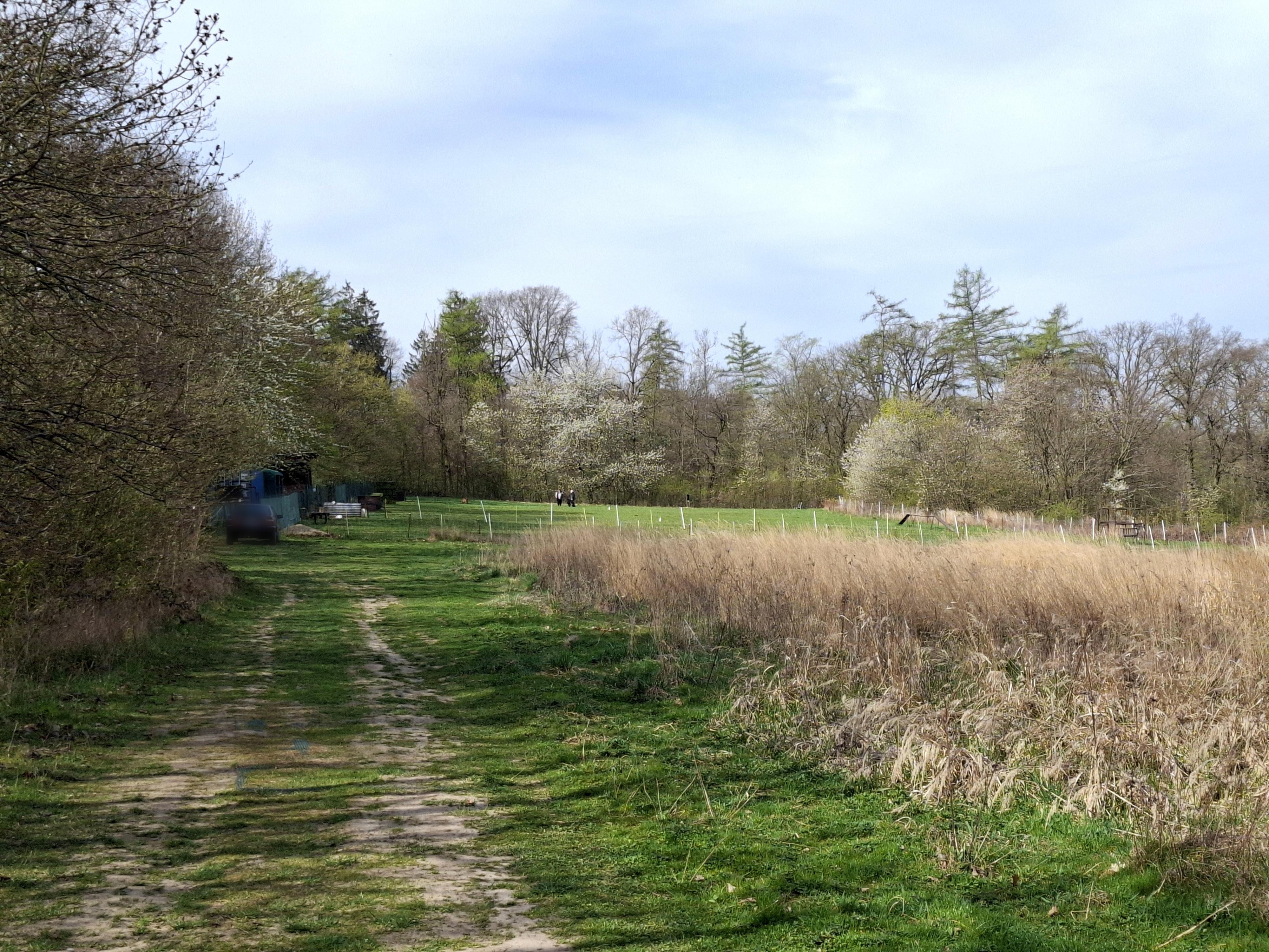 Český kynologický svaz, ZO - 282