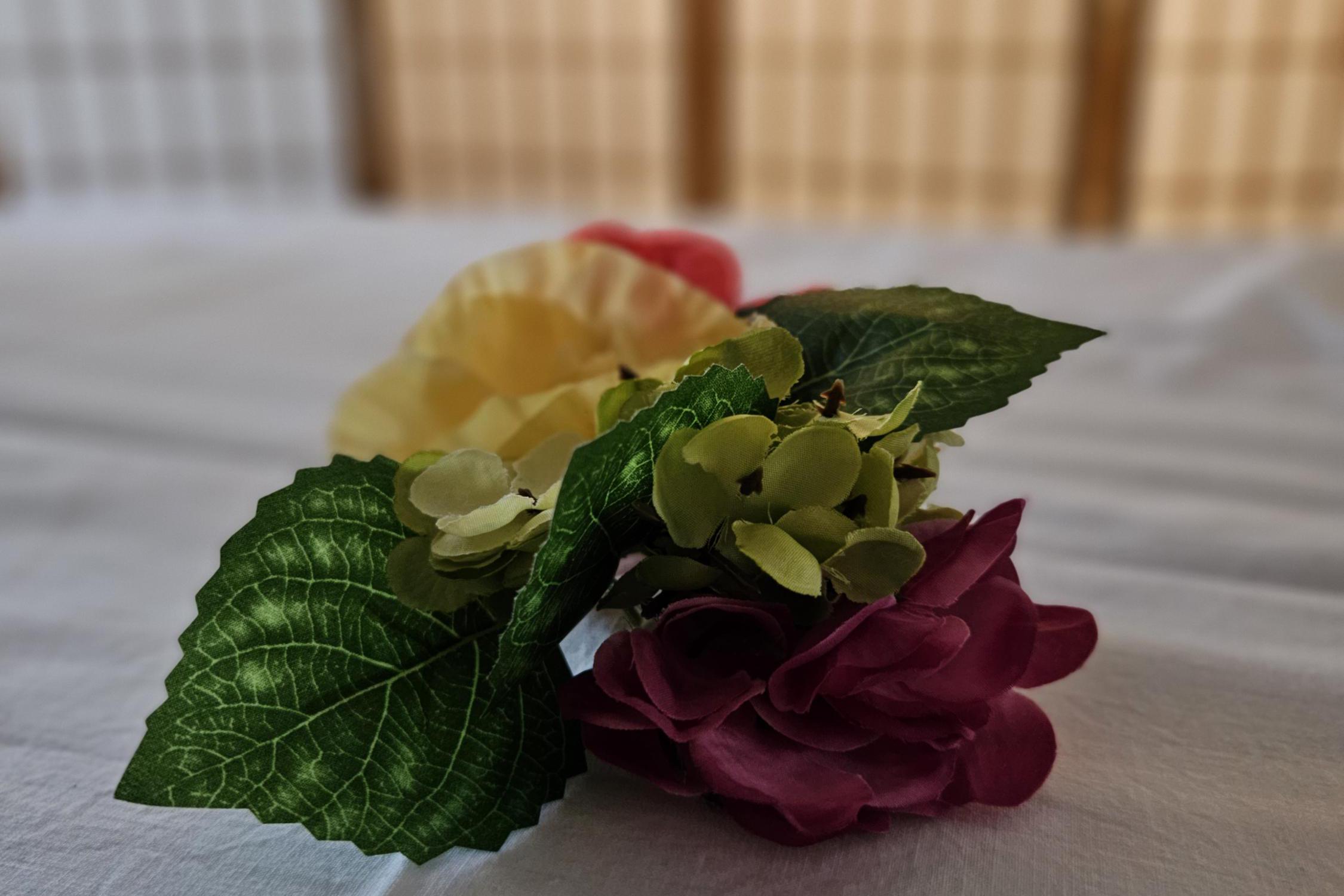 Janice Sokolova foto 1