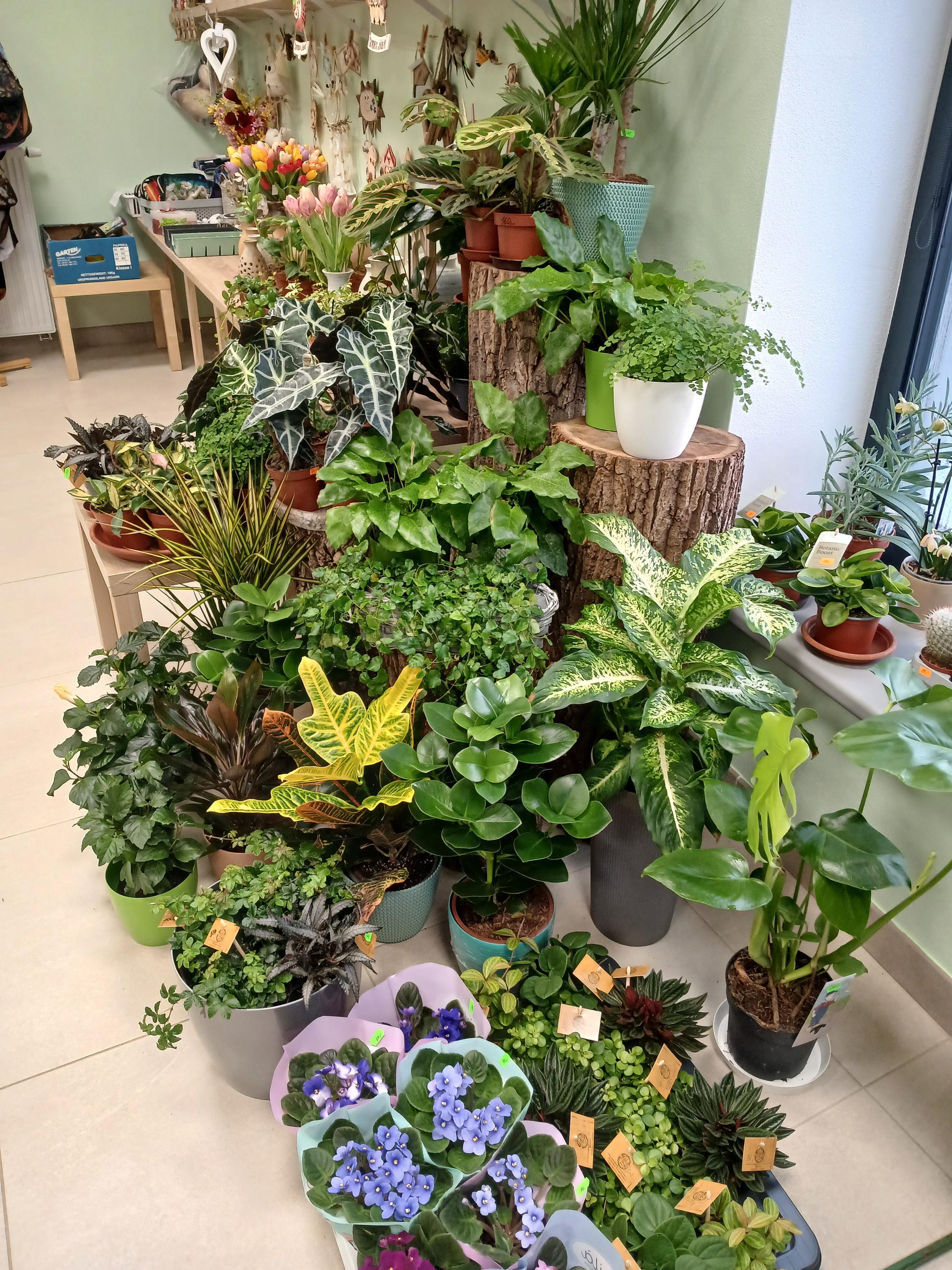 Květiny - Jitka Růžičková foto 6