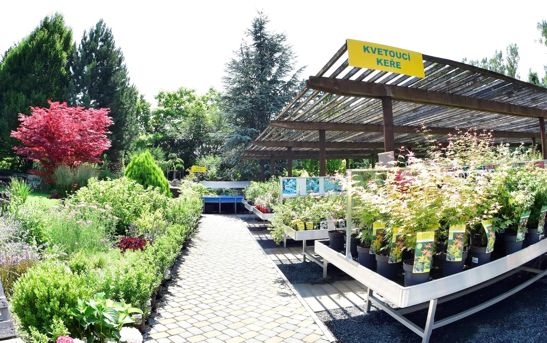 HORTISCENTRUM, s.r.o. foto 3