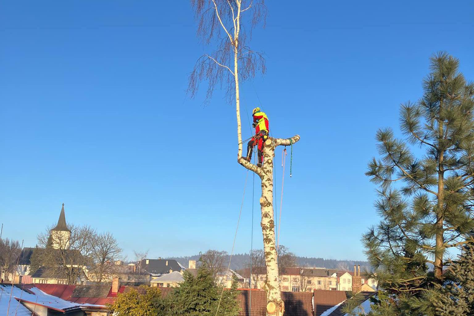 Ondřej Augustin - arboristika a výškové práce
