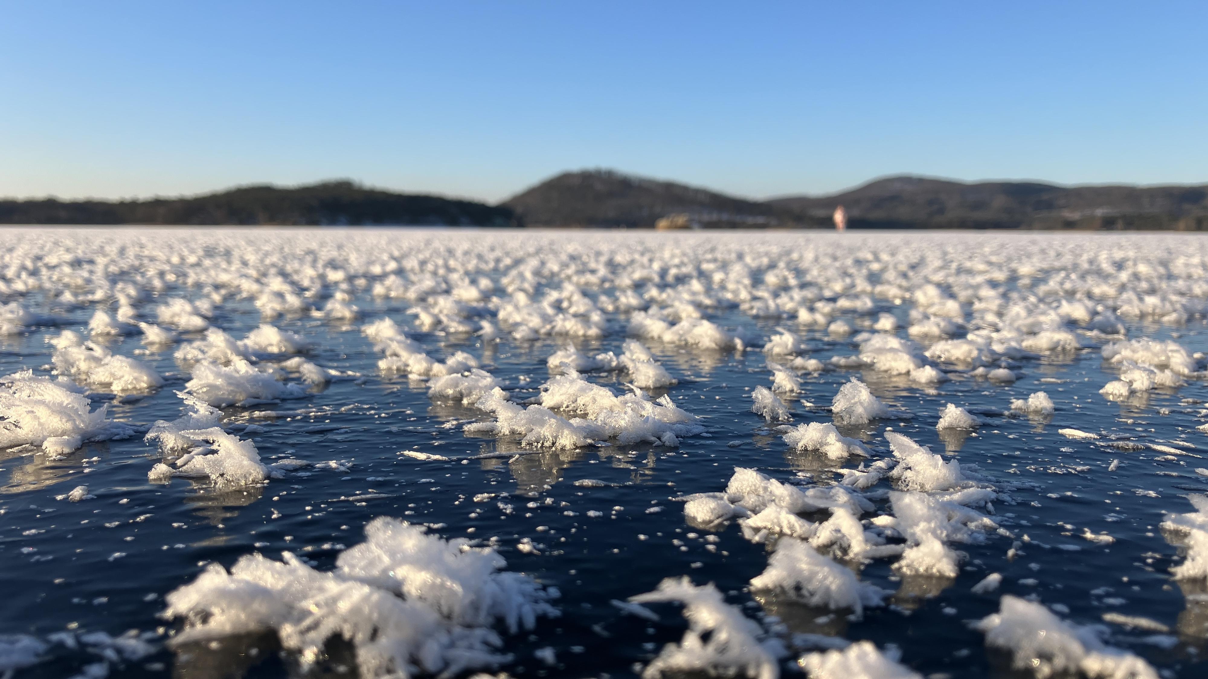 Pláže Máchovo jezero foto 6