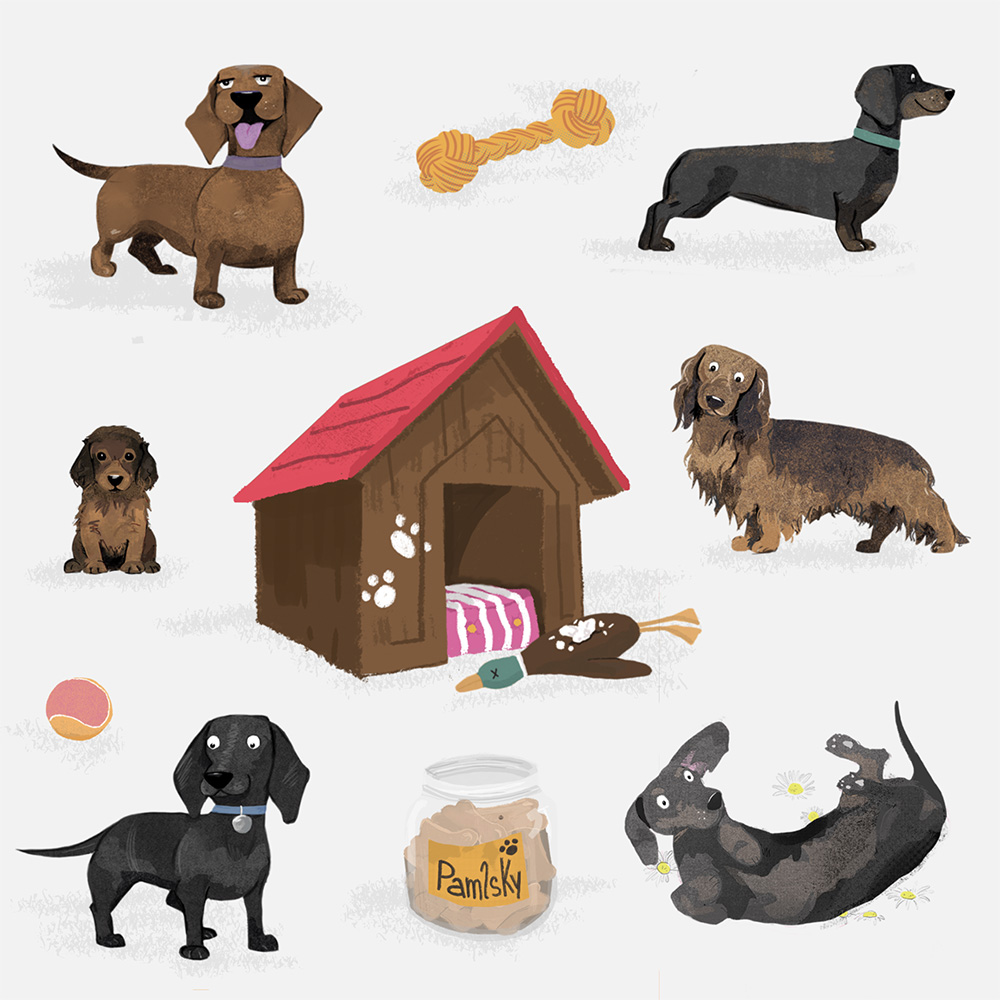 Daniela Bláhová - Ilustrace a grafický design foto 4