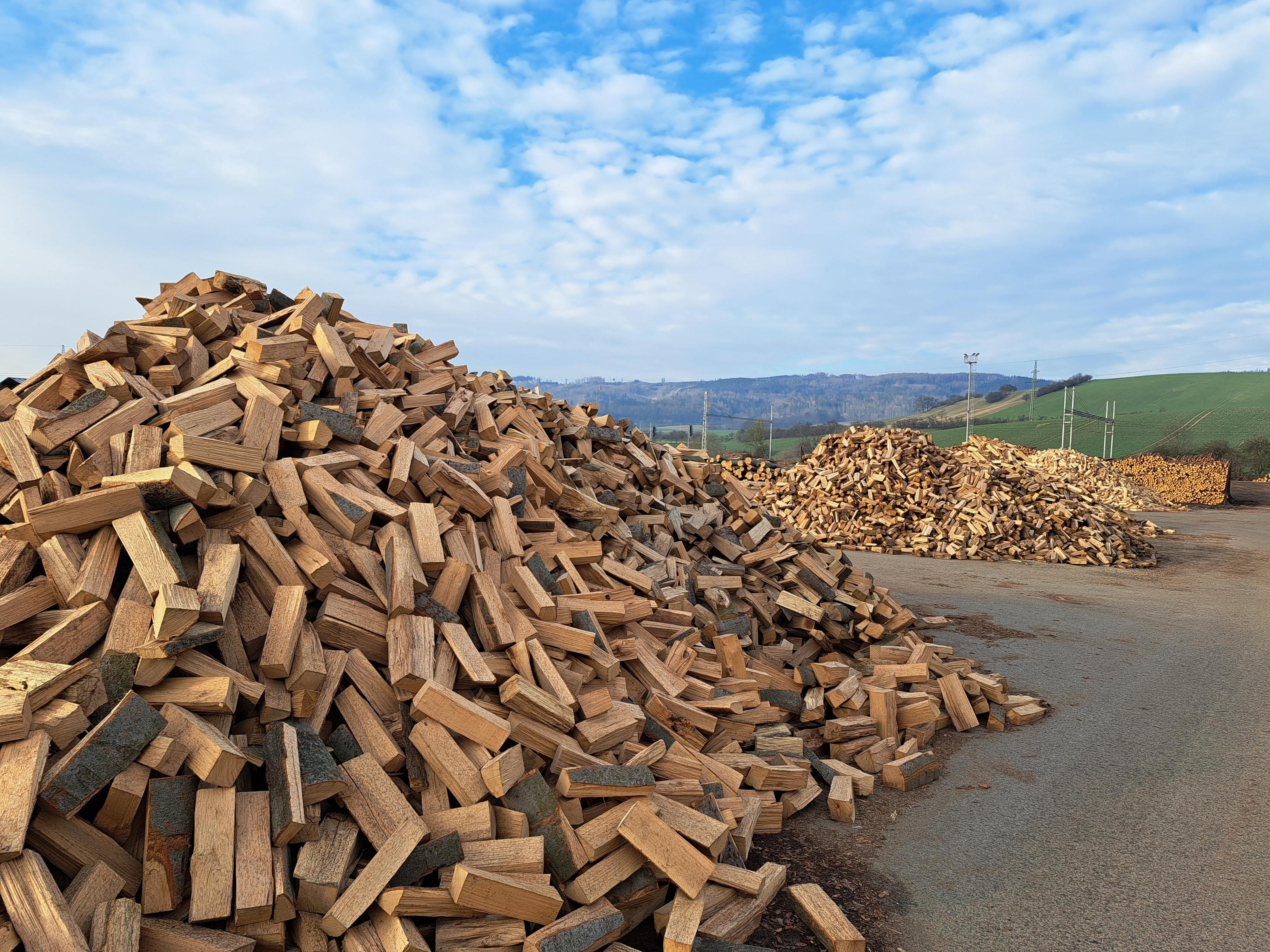 Lesy města Brna, a.s. - Dřevo Rájec foto 6