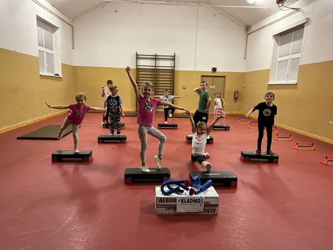 Tělocvičná jednota Sokol Dříň foto 3