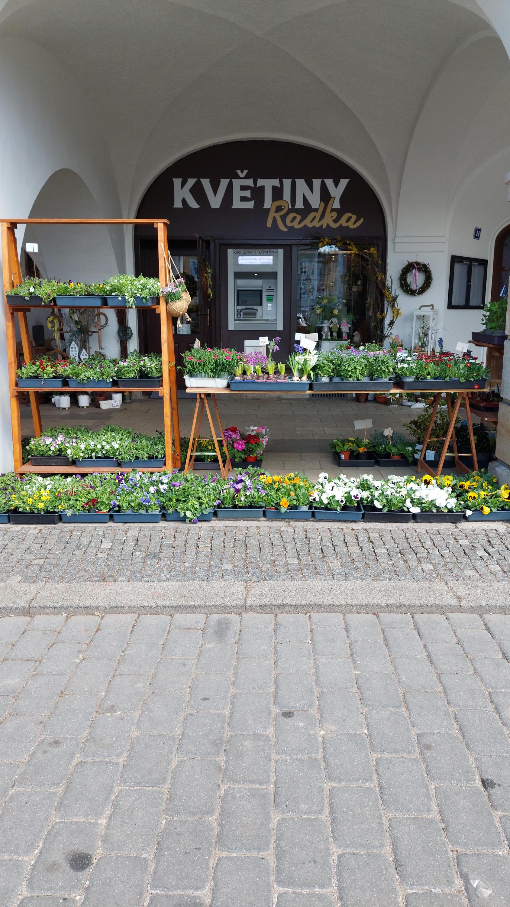 Květiny Radka foto 3