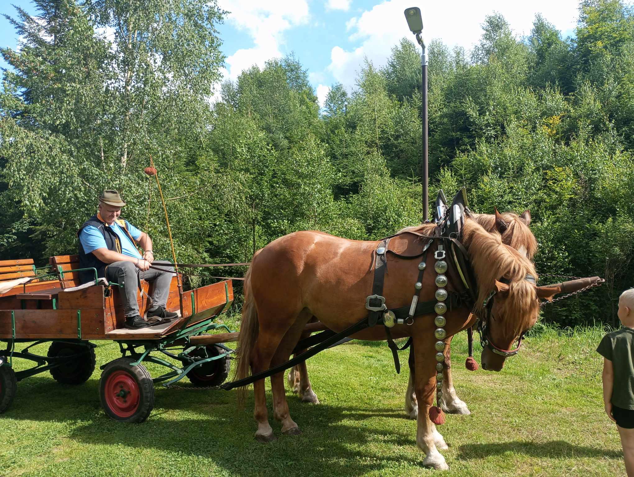 Povoznictví Jan Nyvlt foto 4