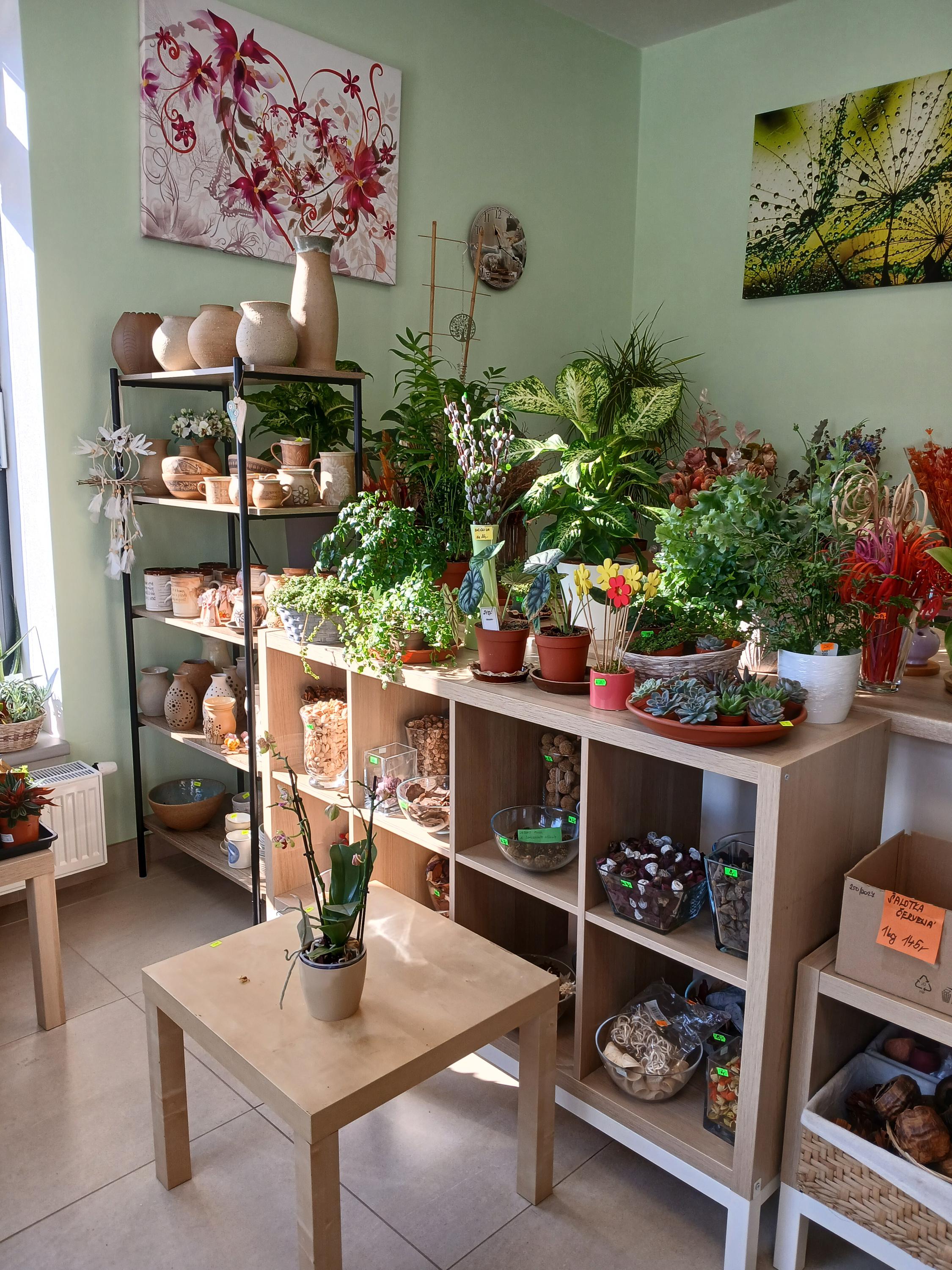 Květiny - Jitka Růžičková foto 5