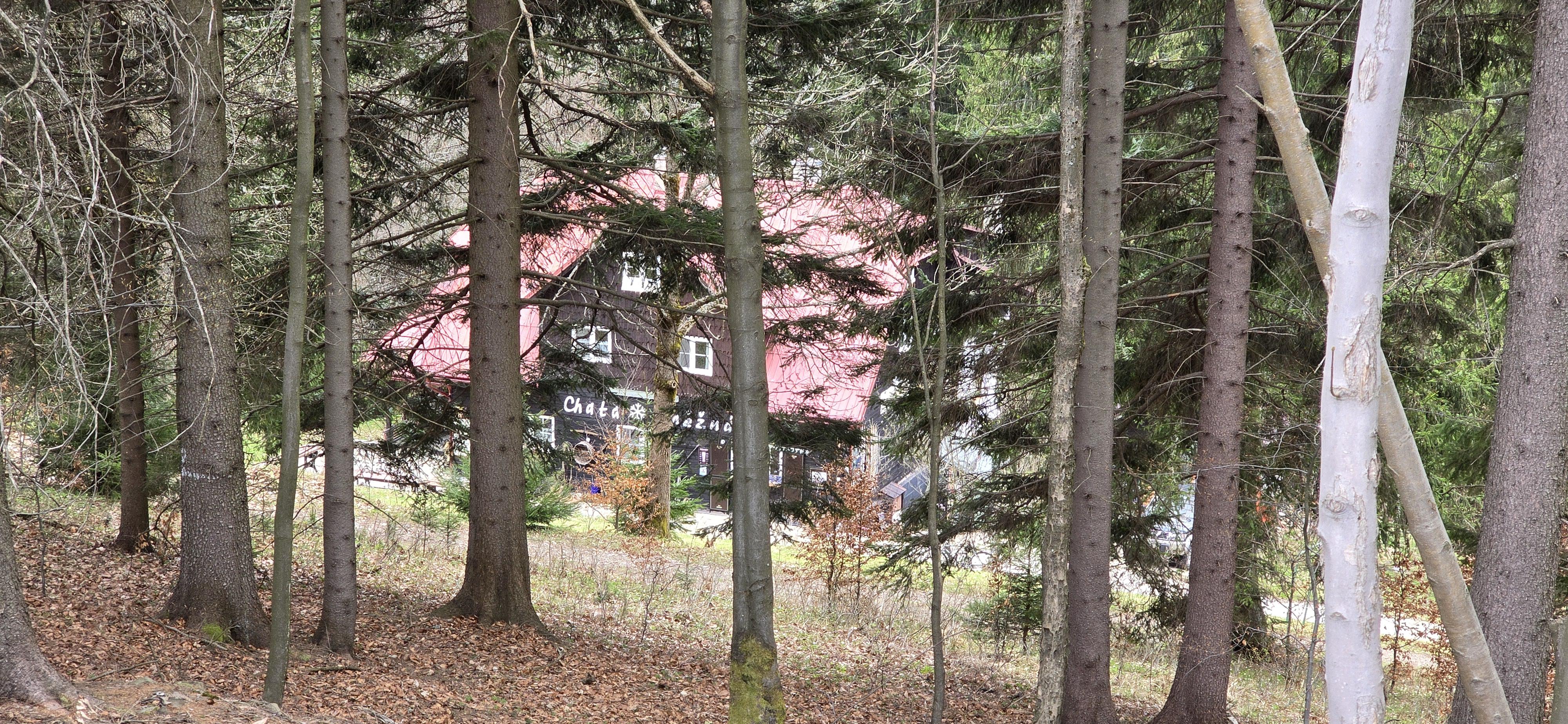 Horská chata Sněžná - bistro foto 3