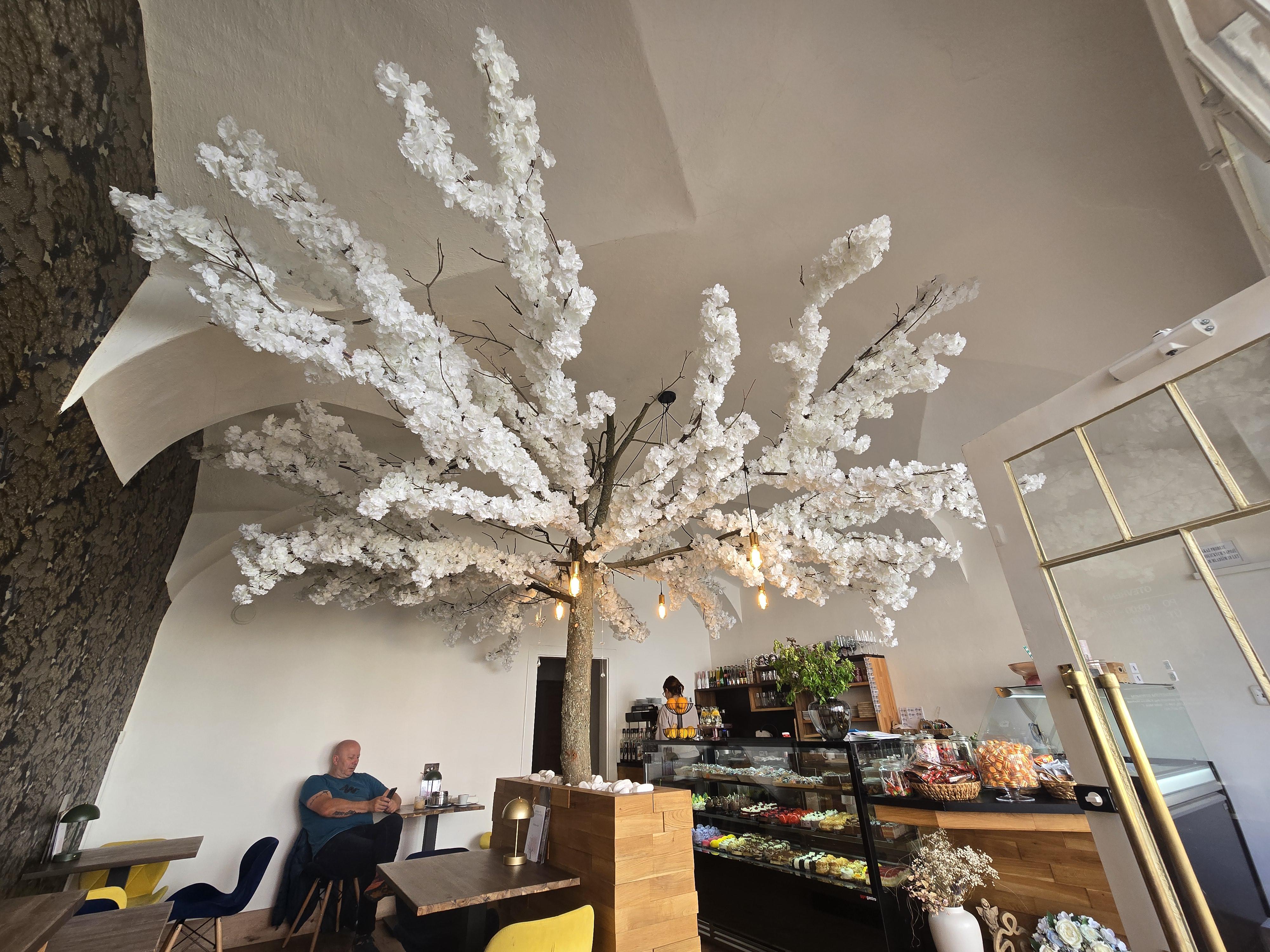 Cukrárna Pod Rozkvetlým Stromem foto 5