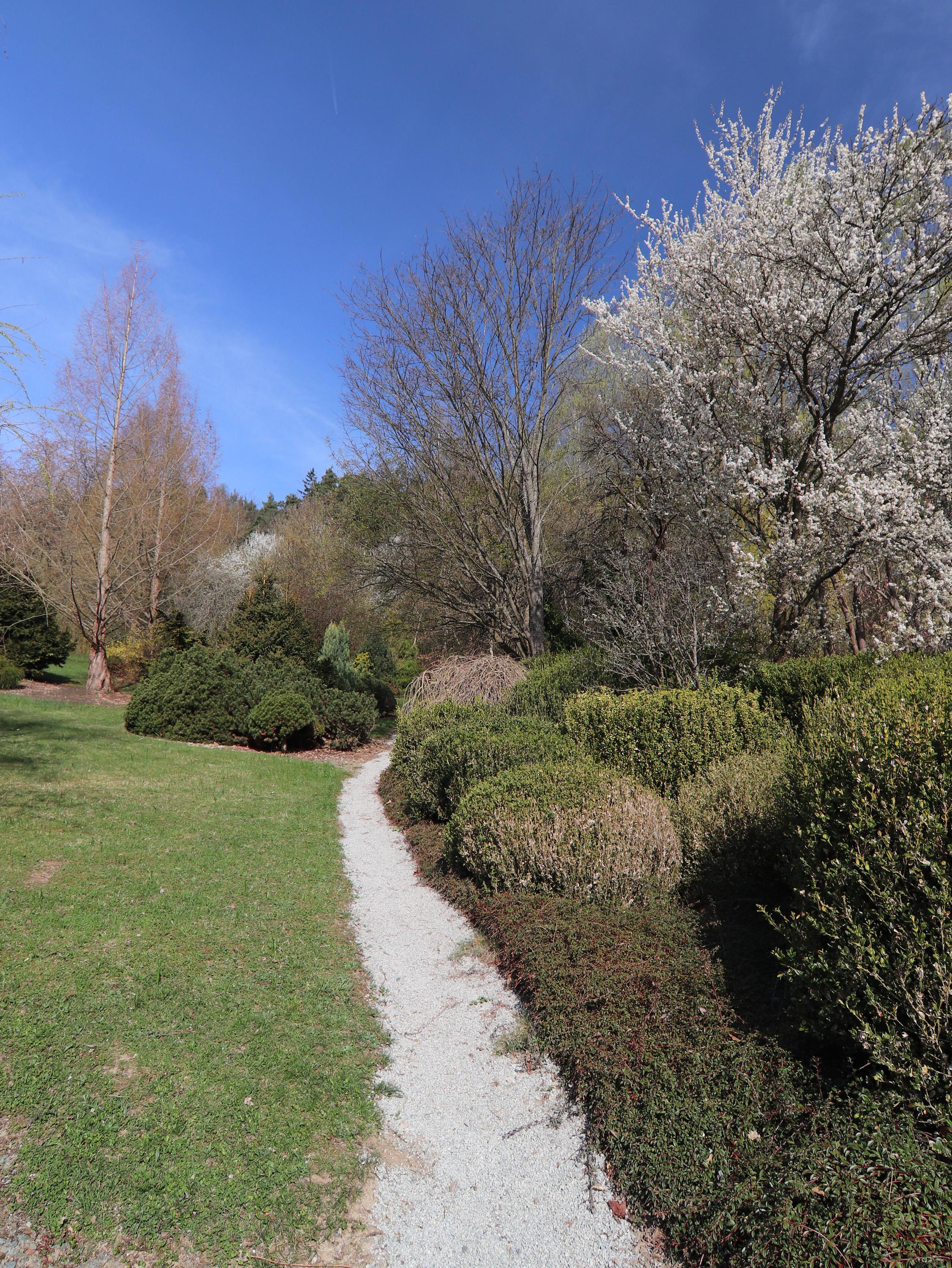 Arboretum Šmelcovna foto 6