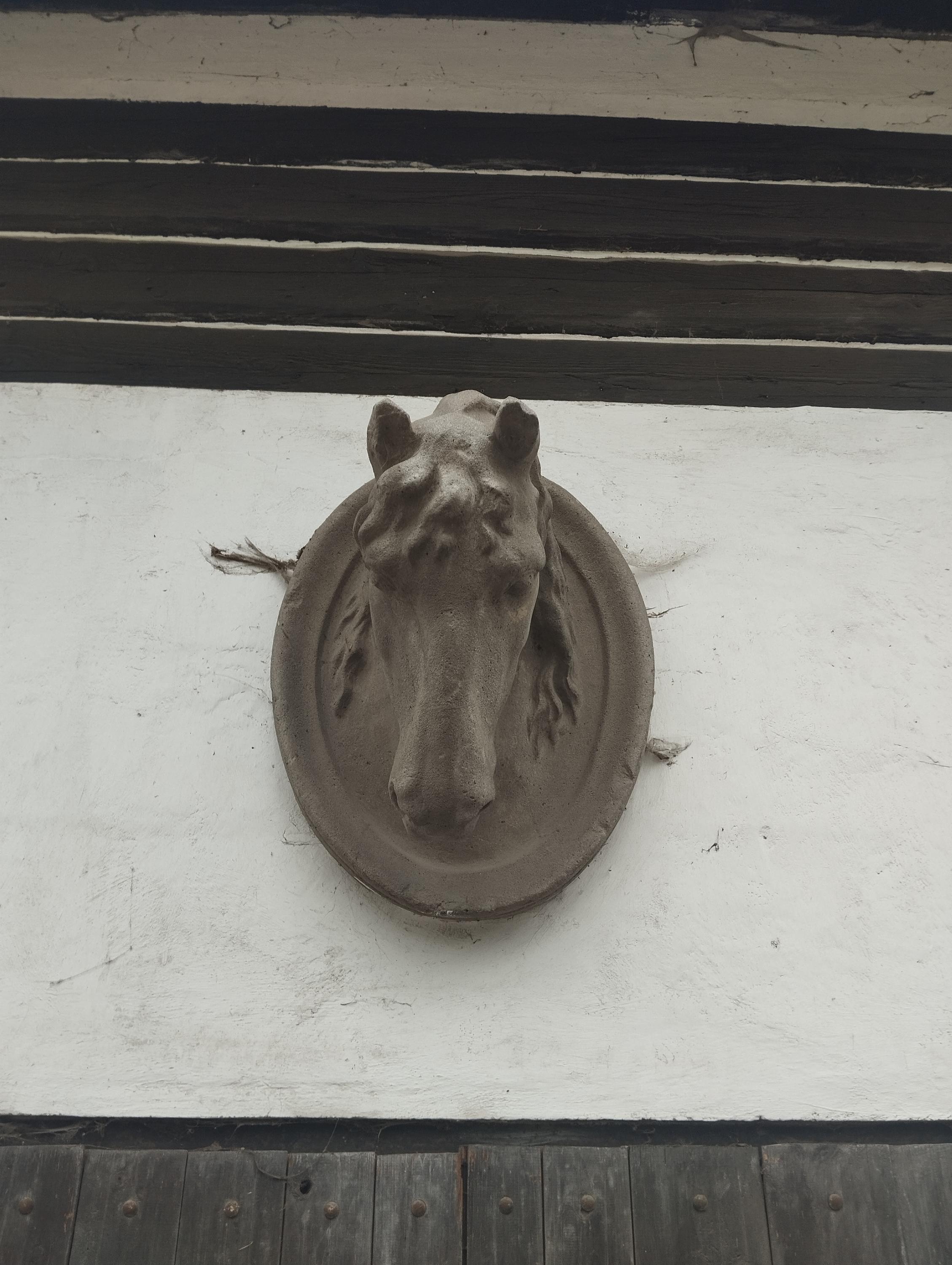 Markéta Hovjacká - trenér a cvičitel jezdectví foto 4