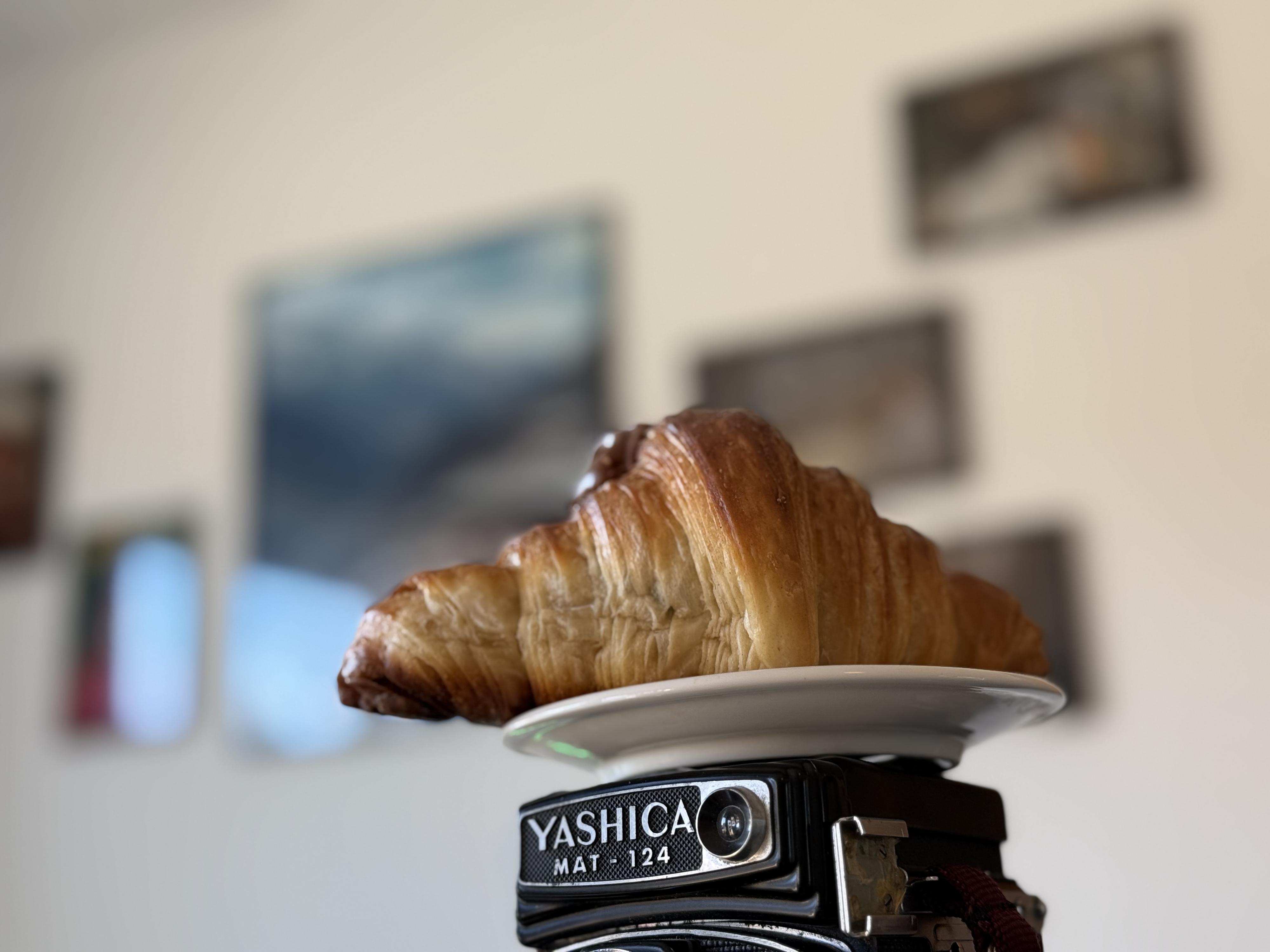 Květinový ateliér "Na Kávu" foto 2