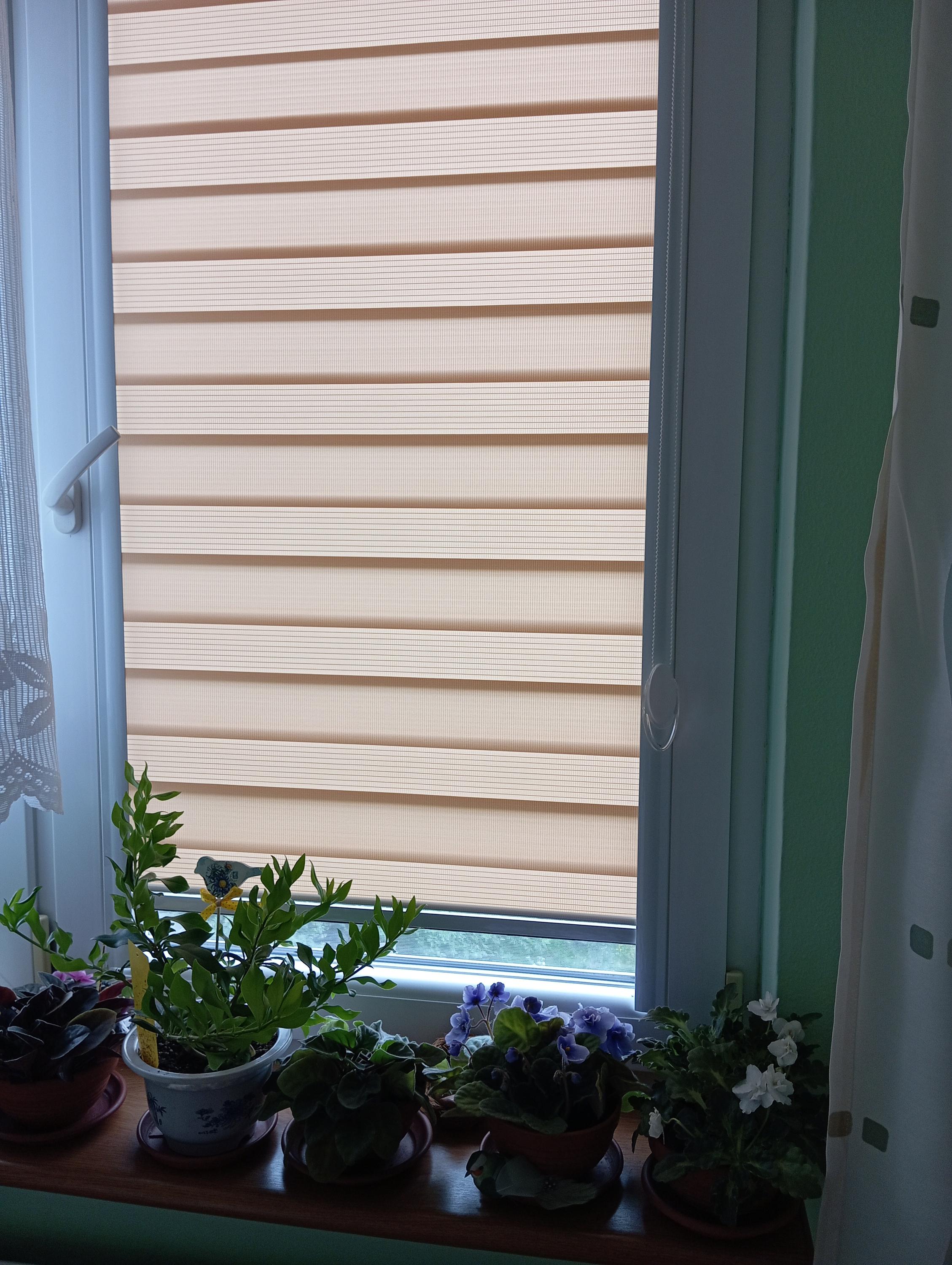 Žaluzieee foto 5