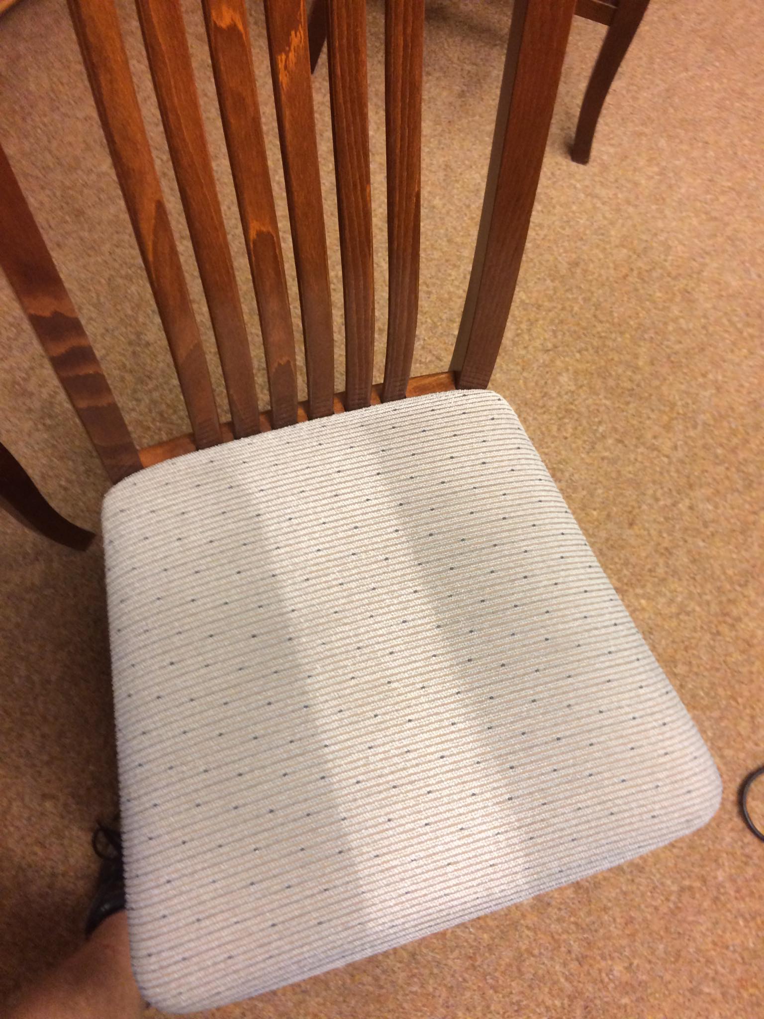 Tepujto  - Půjčovna tepovačů foto 4